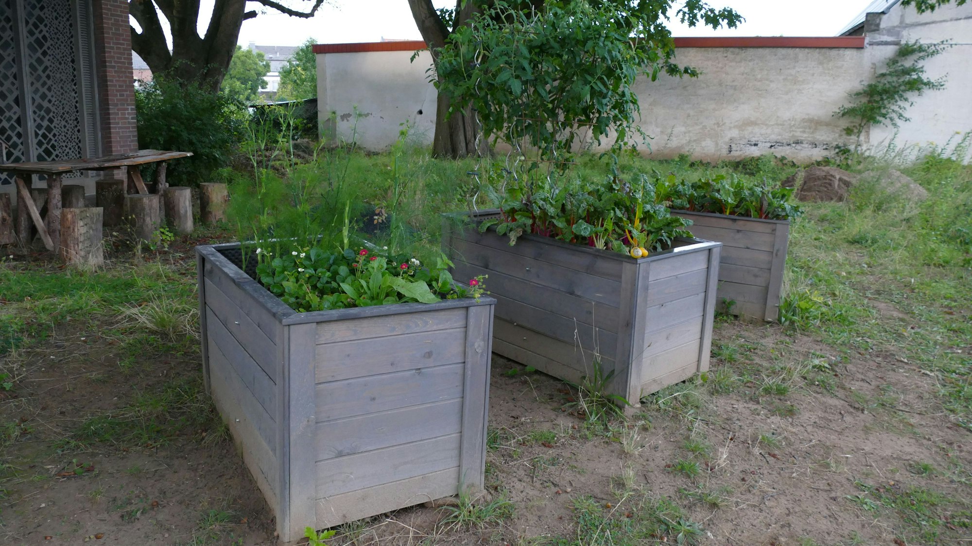 Pflanzenkästen stehen in einem Garten.