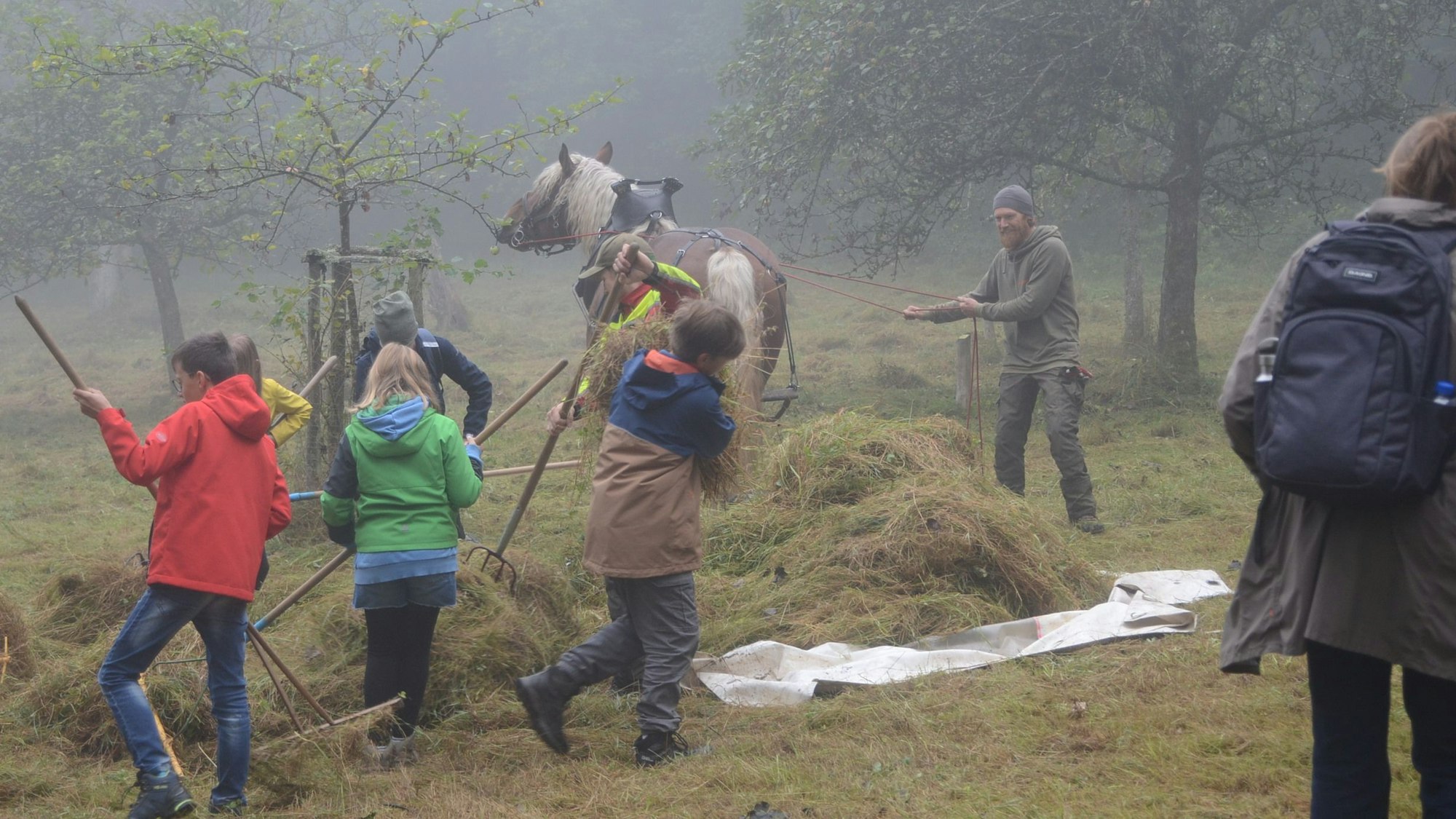 Kinder harken das Gras von einer gemähten Wiese. Im Hintergrund steht ein Pferd.