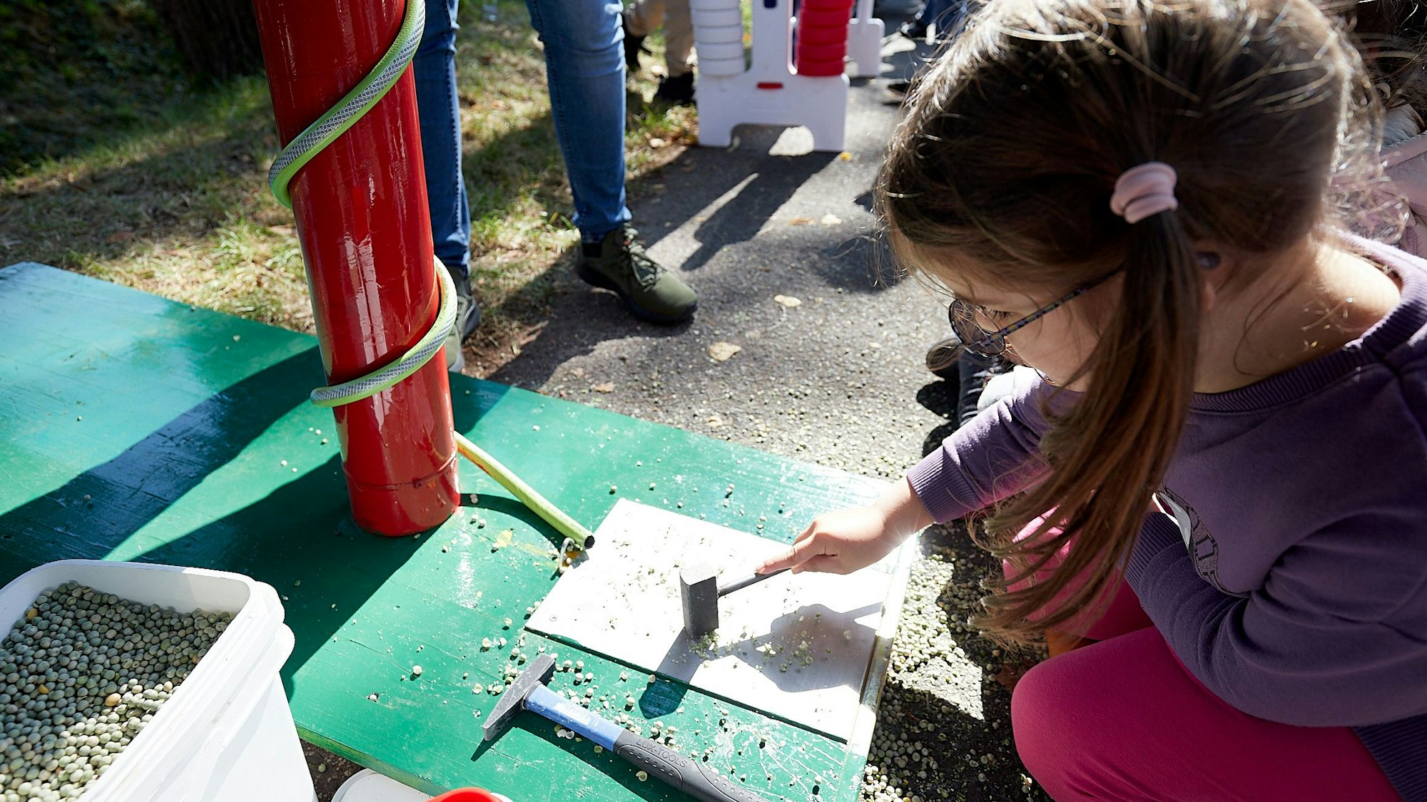 Lea klopft mit einem Hammer Erbsen klein.