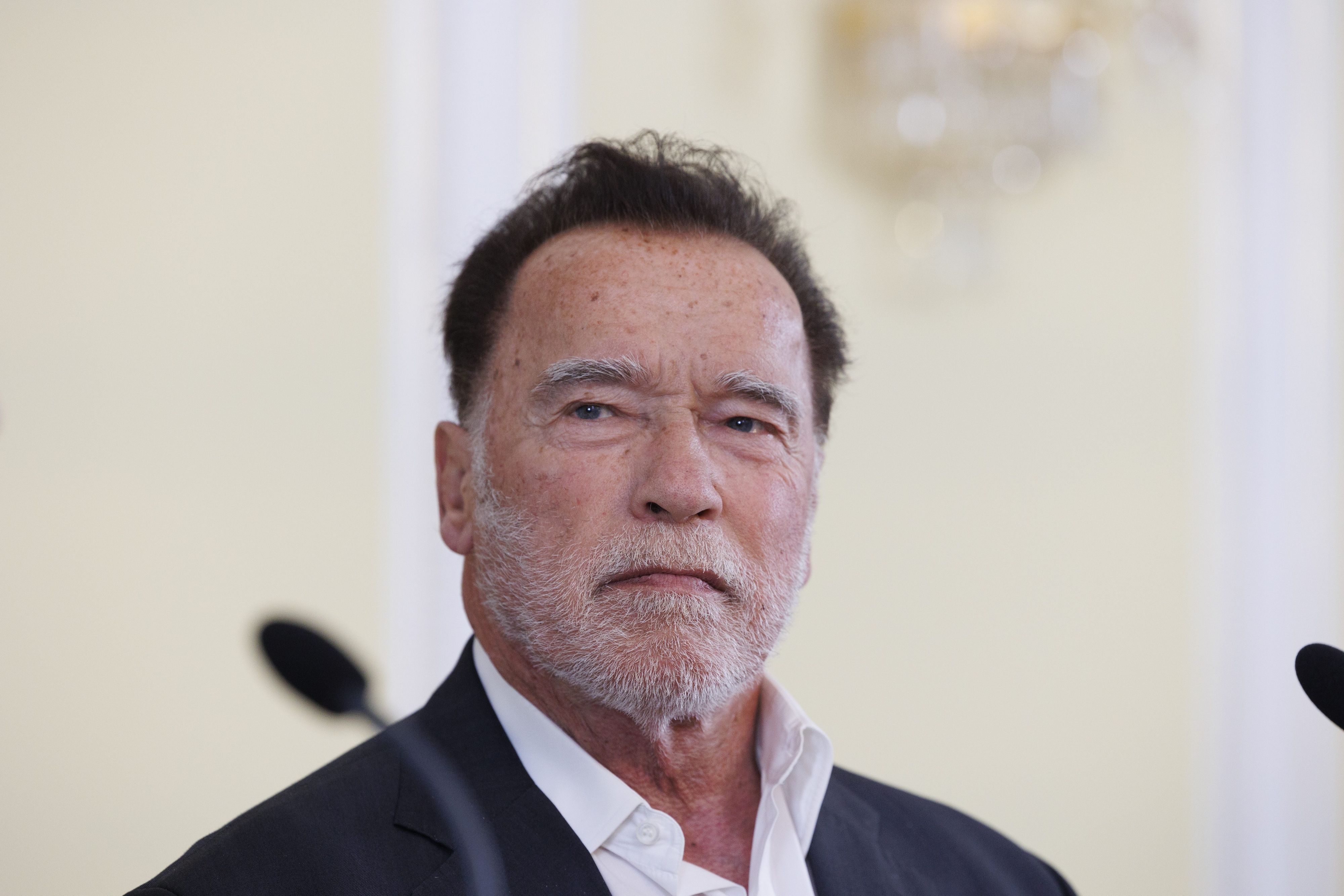 Arnold Schwarzenegger anlässlich der Präsentation einer Büste von Alt-Landeshauptmann Josef Krainer.