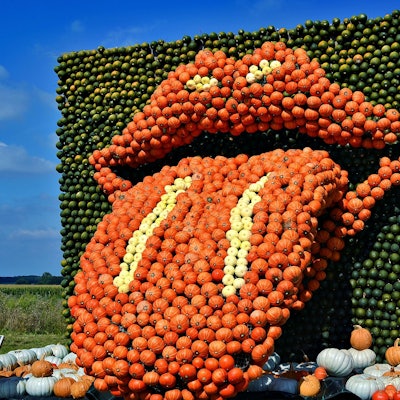 Eine Skulptur aus orangefarbenen und grünen Kürbissen stellt die herausgestreckte Zunge dar, wie die Rolling Stones sie bekannt machten.