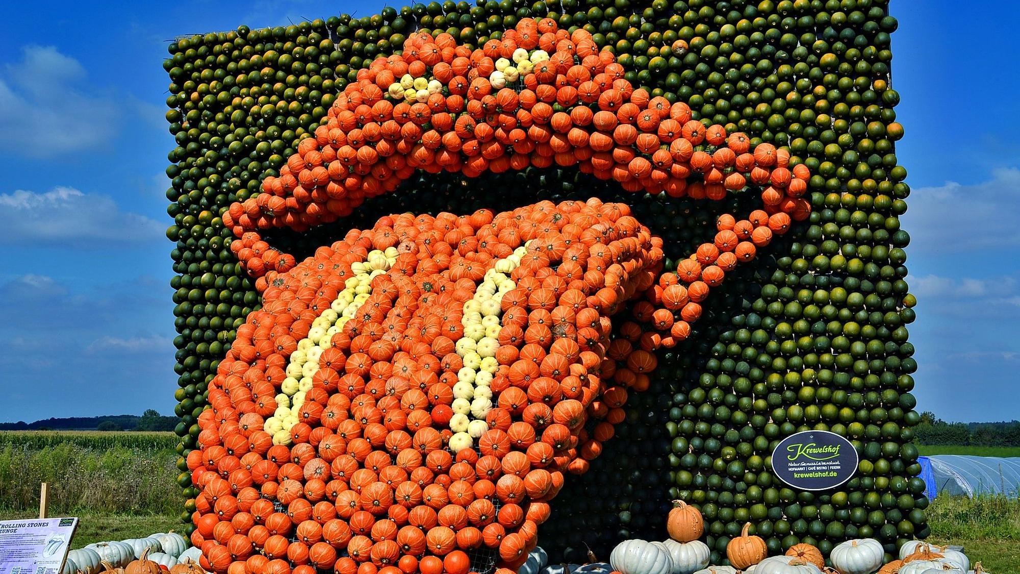 Eine Skulptur aus orangefarbenen und grünen Kürbissen stellt die herausgestreckte Zunge dar, wie die Rolling Stones sie bekannt machten.