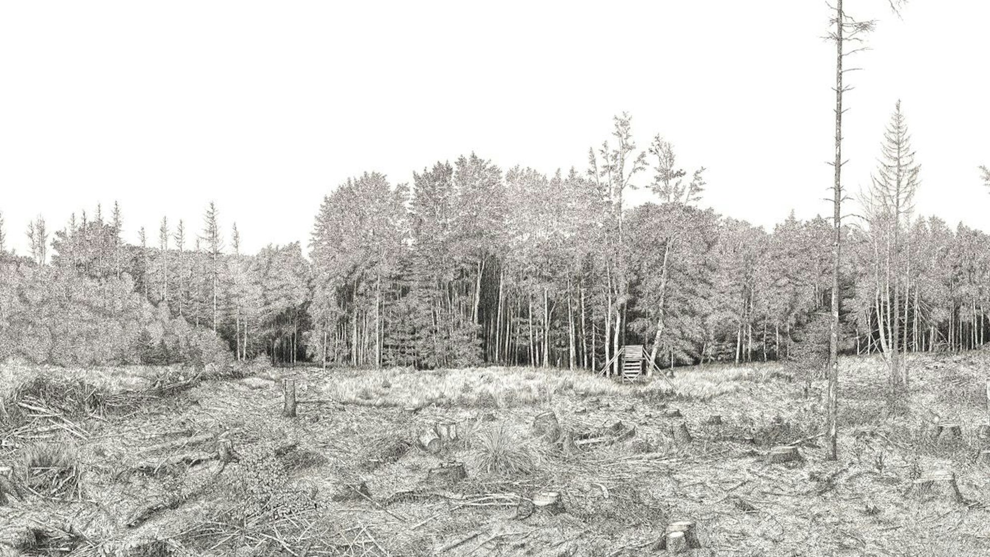 Rüdiger Tillmann hat Bilder von den heutigen Wäldern als Ort gezeichnet.