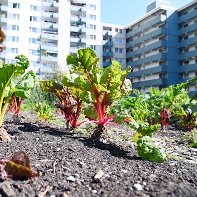 Der Demogarten in Finkenberg am Dienstagnachmittag