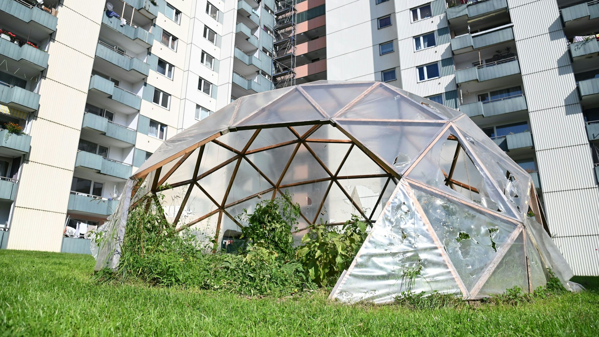 Das Gewächshaus im Demogarten in Köln-Finkenberg