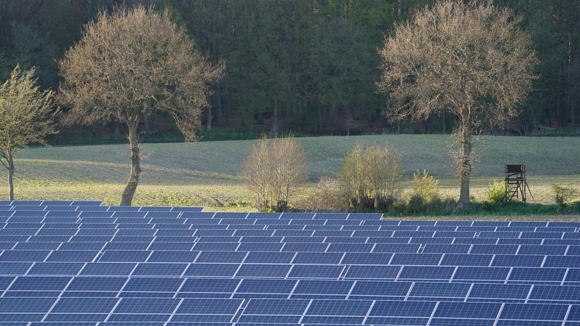 Photovoltaik-Anlagen stehen in einem Solarpark neben der Autobahn A7. (zu dpa: "Verbände fordern mehr Tempo beim Ausbau der erneuerbaren Energien") Foto: Marcus Brandt/dpa +++ dpa-Bildfunk +++