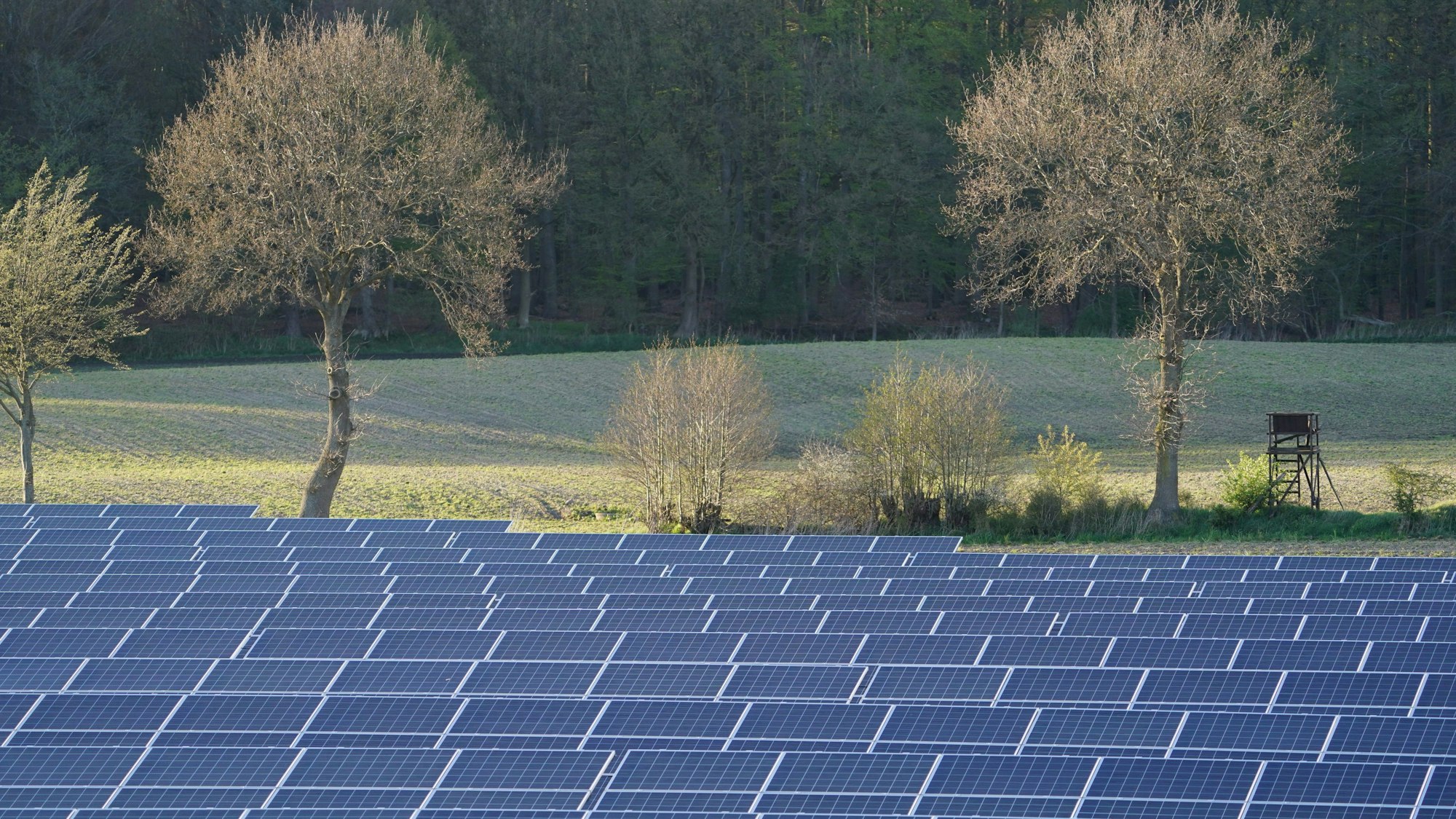 Photovoltaik-Anlagen stehen in einem Solarpark neben der Autobahn A7. (zu dpa: "Verbände fordern mehr Tempo beim Ausbau der erneuerbaren Energien") Foto: Marcus Brandt/dpa +++ dpa-Bildfunk +++