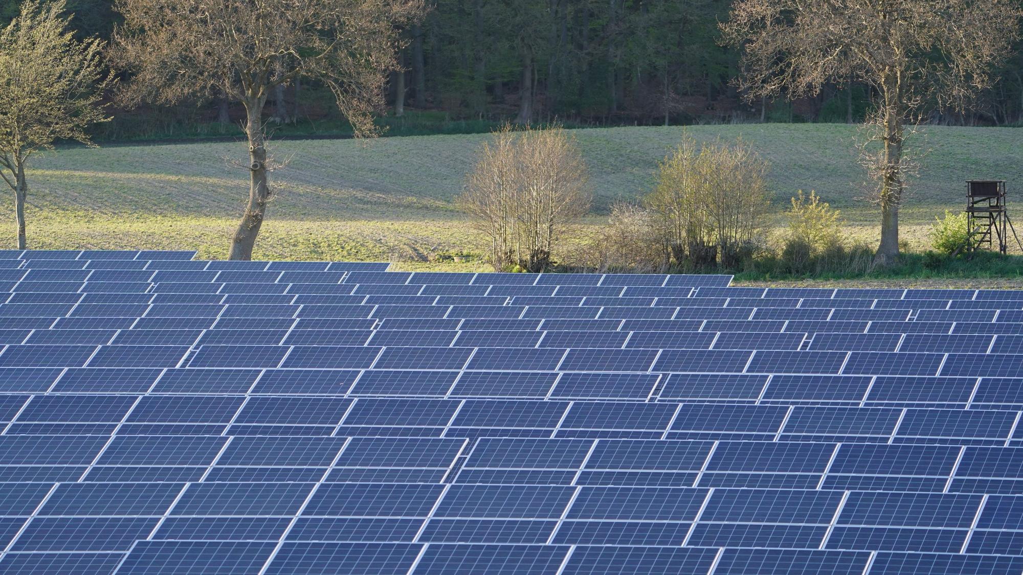 Photovoltaik-Anlagen in einem Solarpark neben der Autobahn A 7 in Schleswig-Holstein.