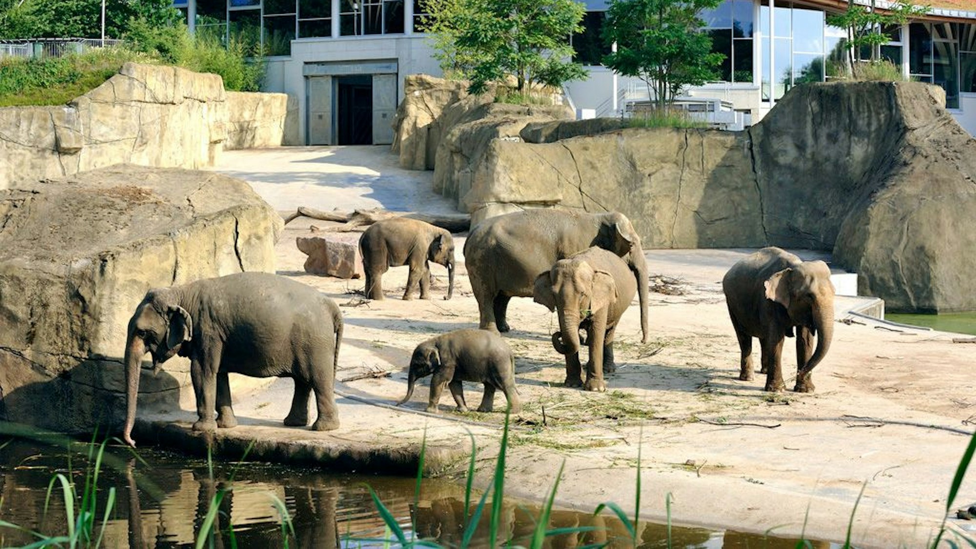 Die digitalen Angebote des Zoos sollen den Besuch in Zukunft noch abwechslungsreicher machen.