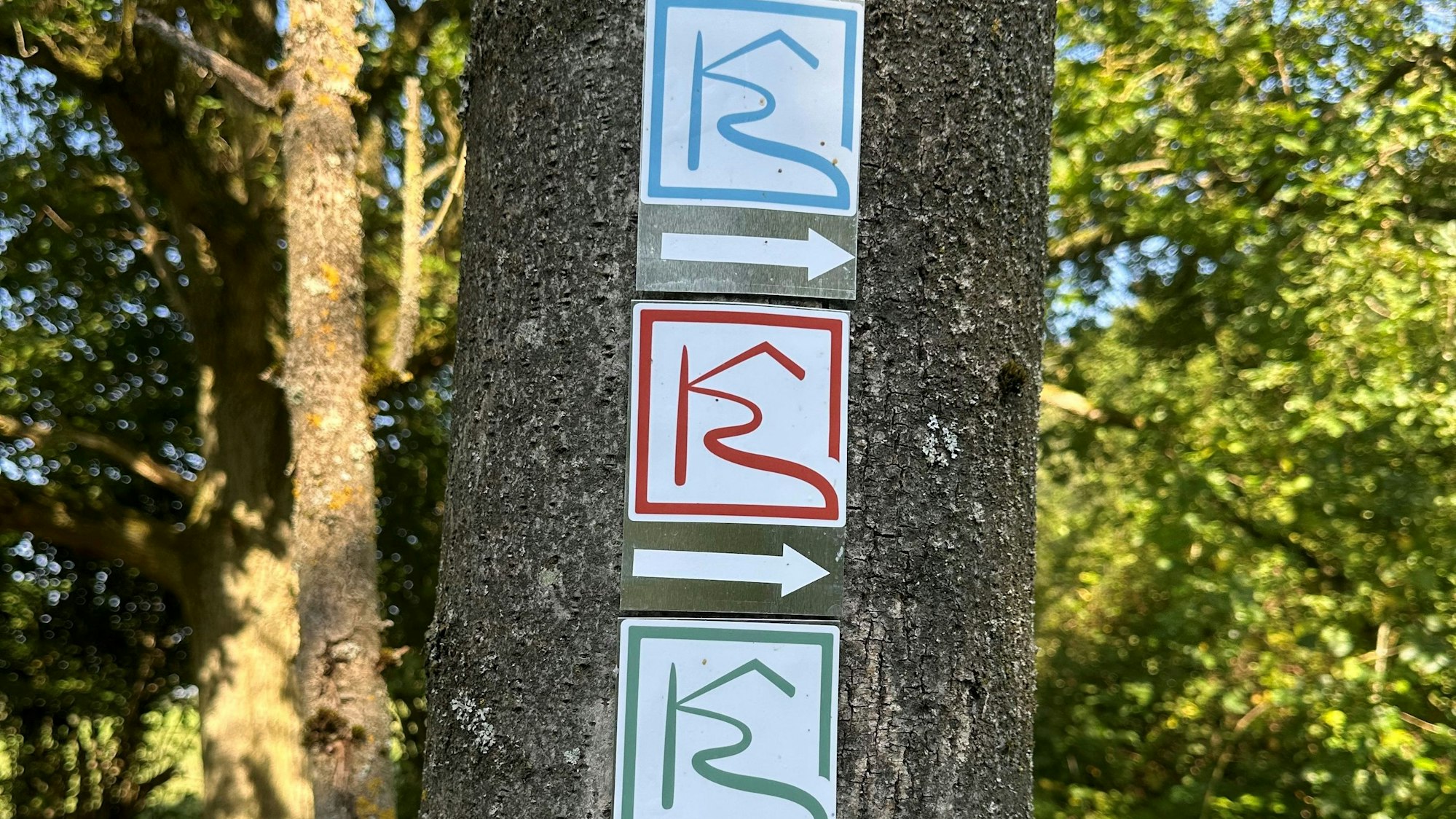 Drei Hinweistafeln in verschiedenen Farben an einem Baumstamm