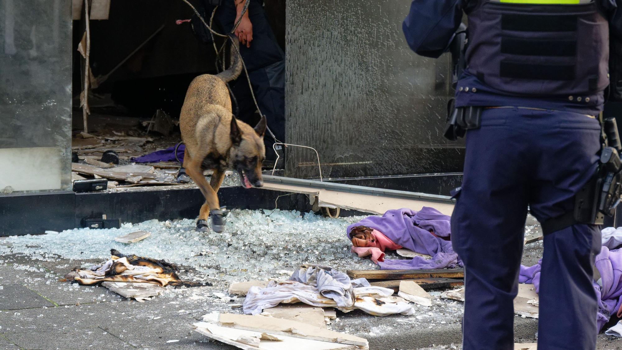 Köln: Ein Polizeihund sucht in den Trümmern eines Geschäftes in der Ehrenstraße in Köln.