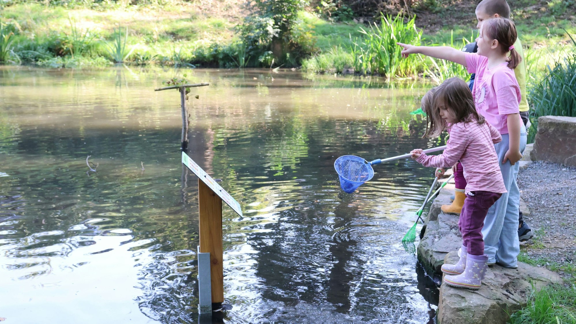 Neu im Waldbröler Wiedenhofpark ist diese von Findlingen eingefasste Minihalbinsel. Darauf ist das Wasser ganz nah – Schülerinnen und Schüler der Grundschule am Wiedenhof halten Ausschau nach Lebewesen im beliebten Entenweiher.