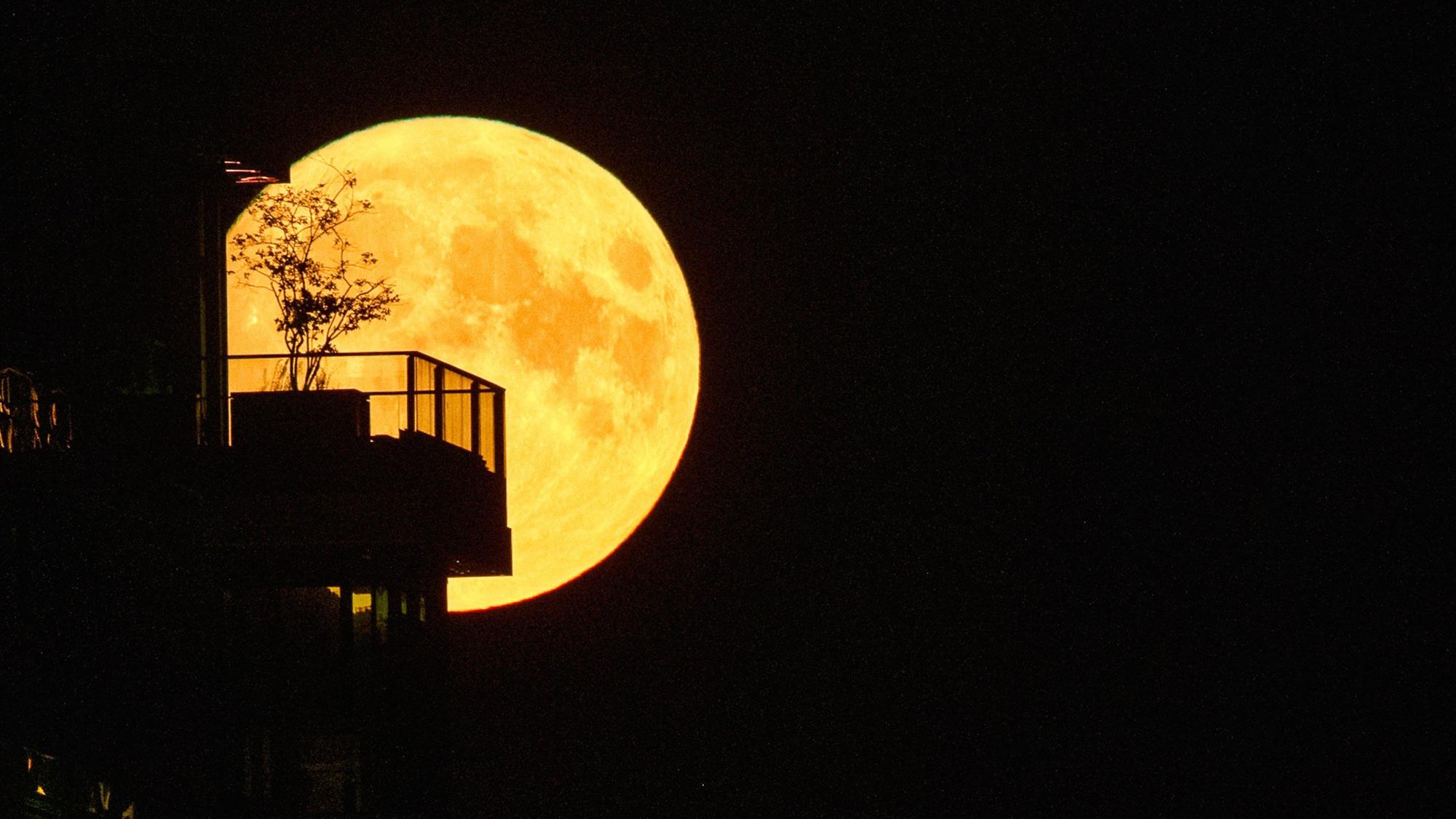 Der sogenannte Supermond geht hinter einem Hochhaus an der East Side Galery in Berlin auf.