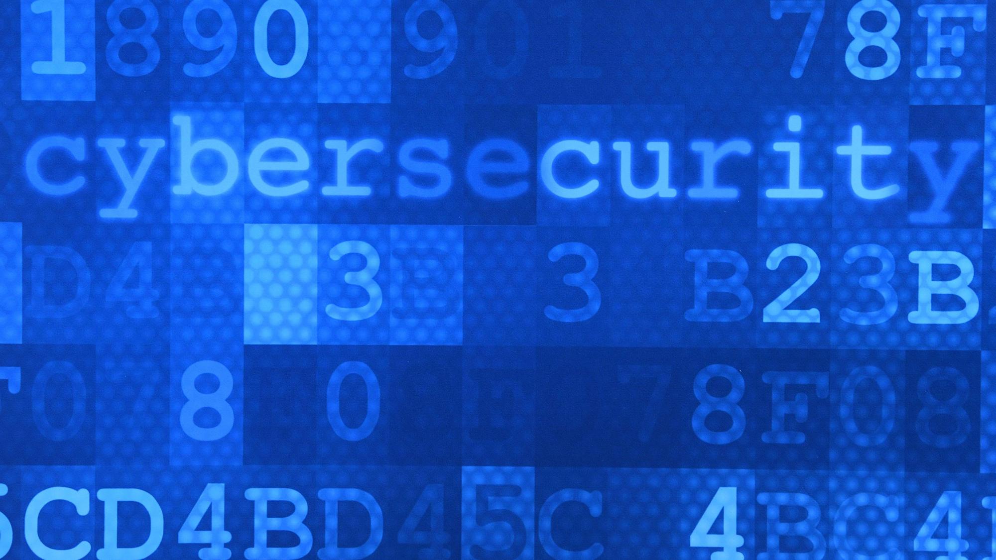 Angst vor Cyberangriffen und Sorge um die Sicherheit zeigen zahlreiche Bundesbürger in einer aktuellen Studie.