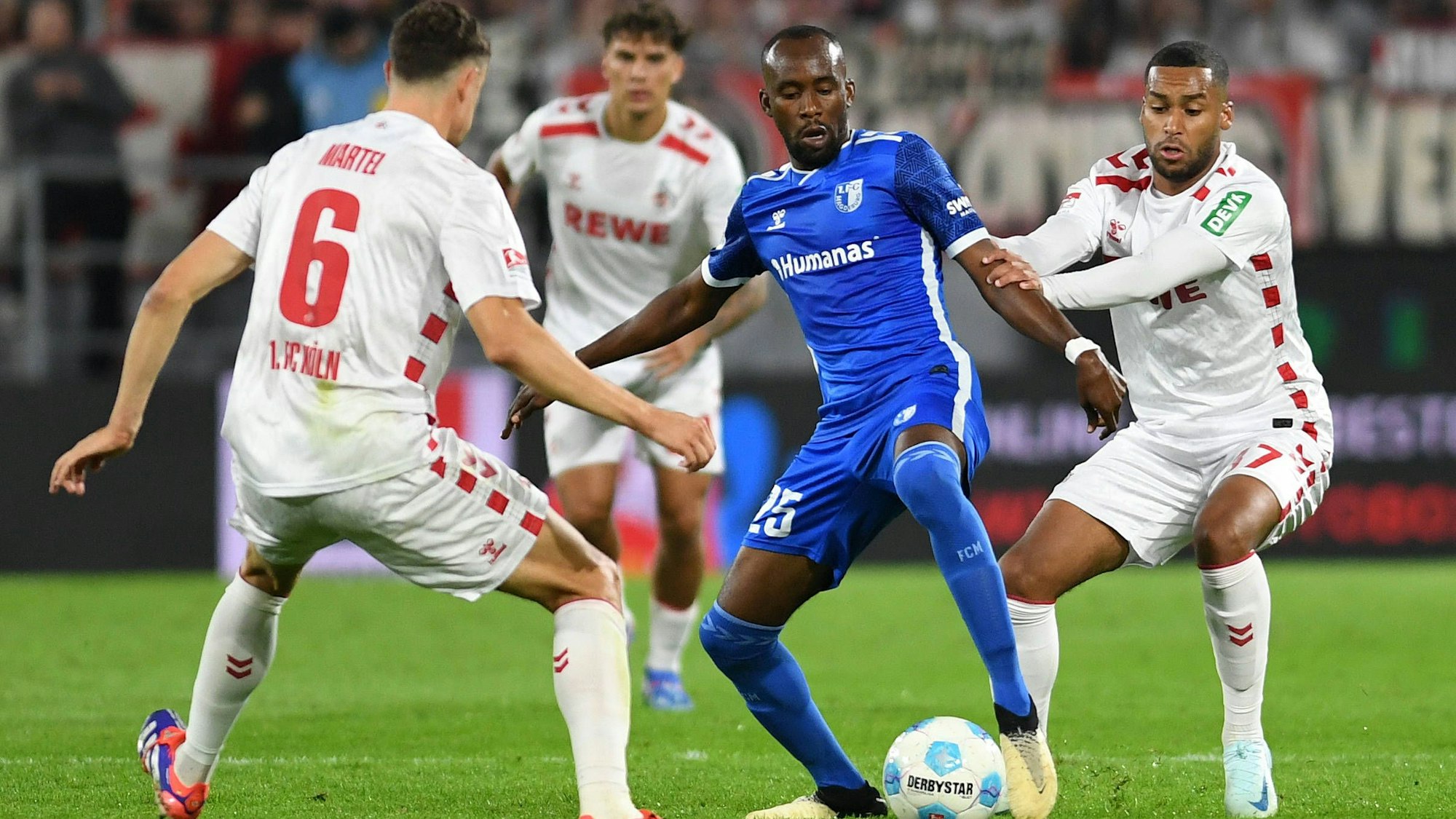 Kölner Startelf-Kandidaten für das Rheinderby: Linton Maina (r.) Julian Pauli (hinten) und Eric Martel (l.).
