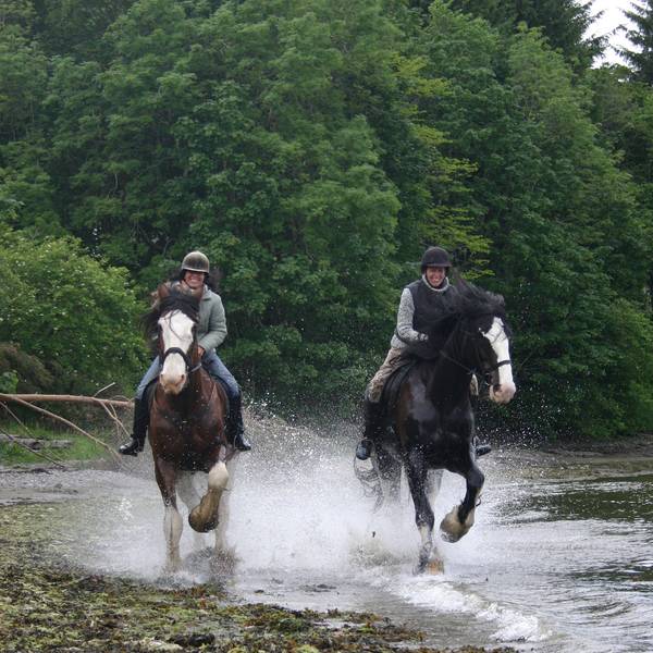 Das Bild zeigt zwei Reiter, die durchs Wasser reiten.