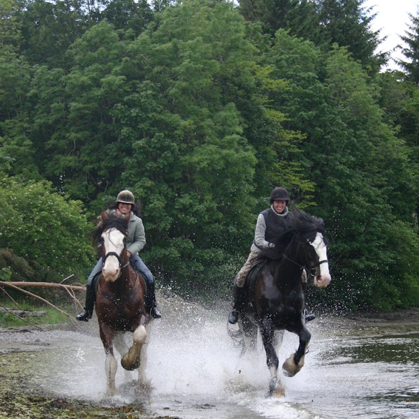 Das Bild zeigt zwei Reiter, die durchs Wasser reiten.