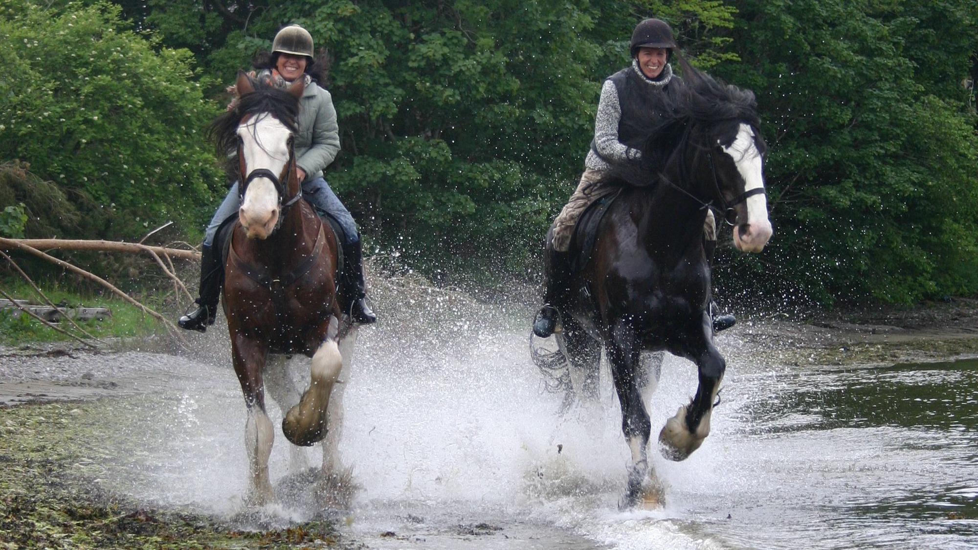 Das Bild zeigt zwei Reiter, die durchs Wasser reiten.