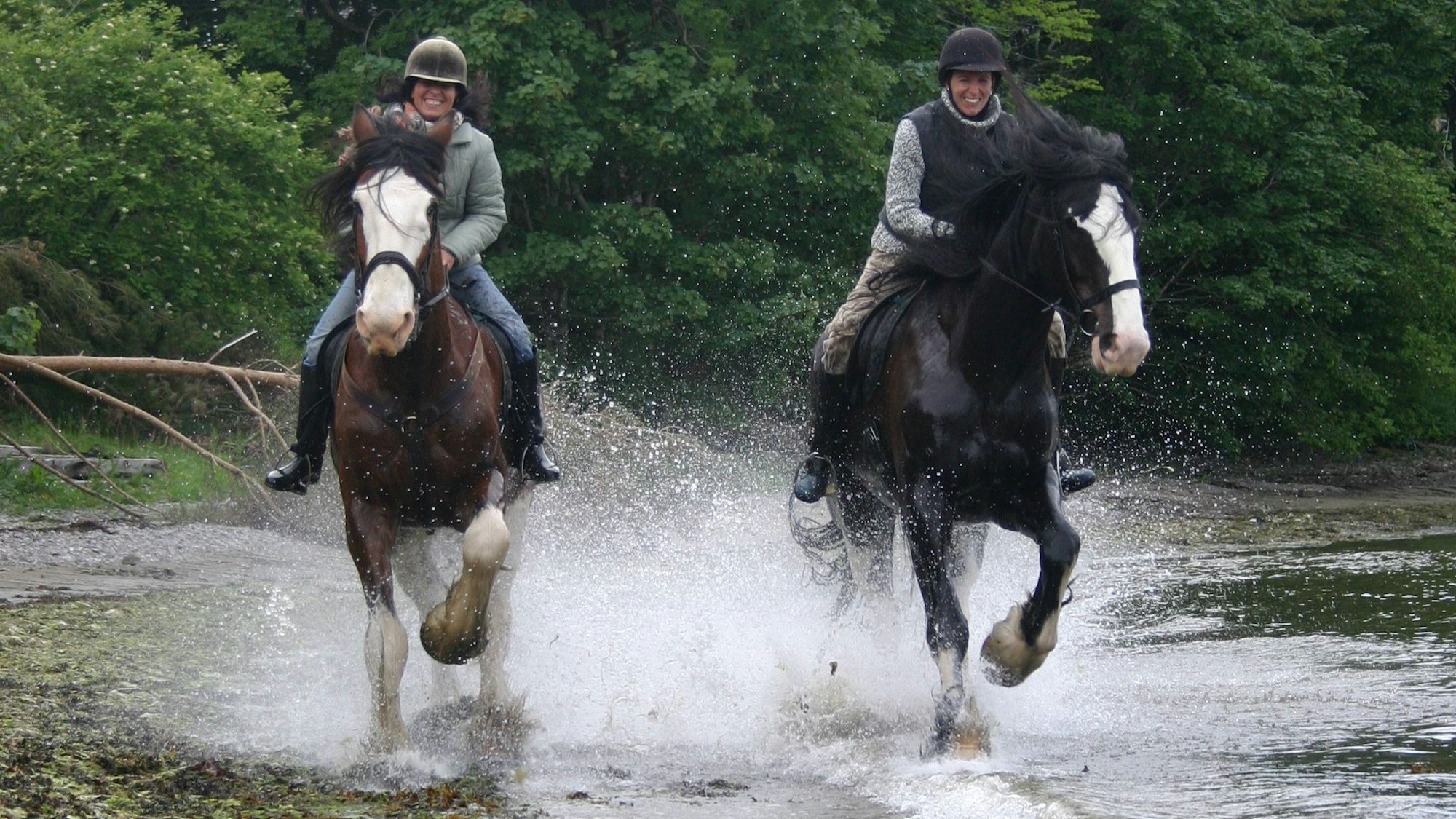 Das Bild zeigt zwei Reiter, die durchs Wasser reiten.
