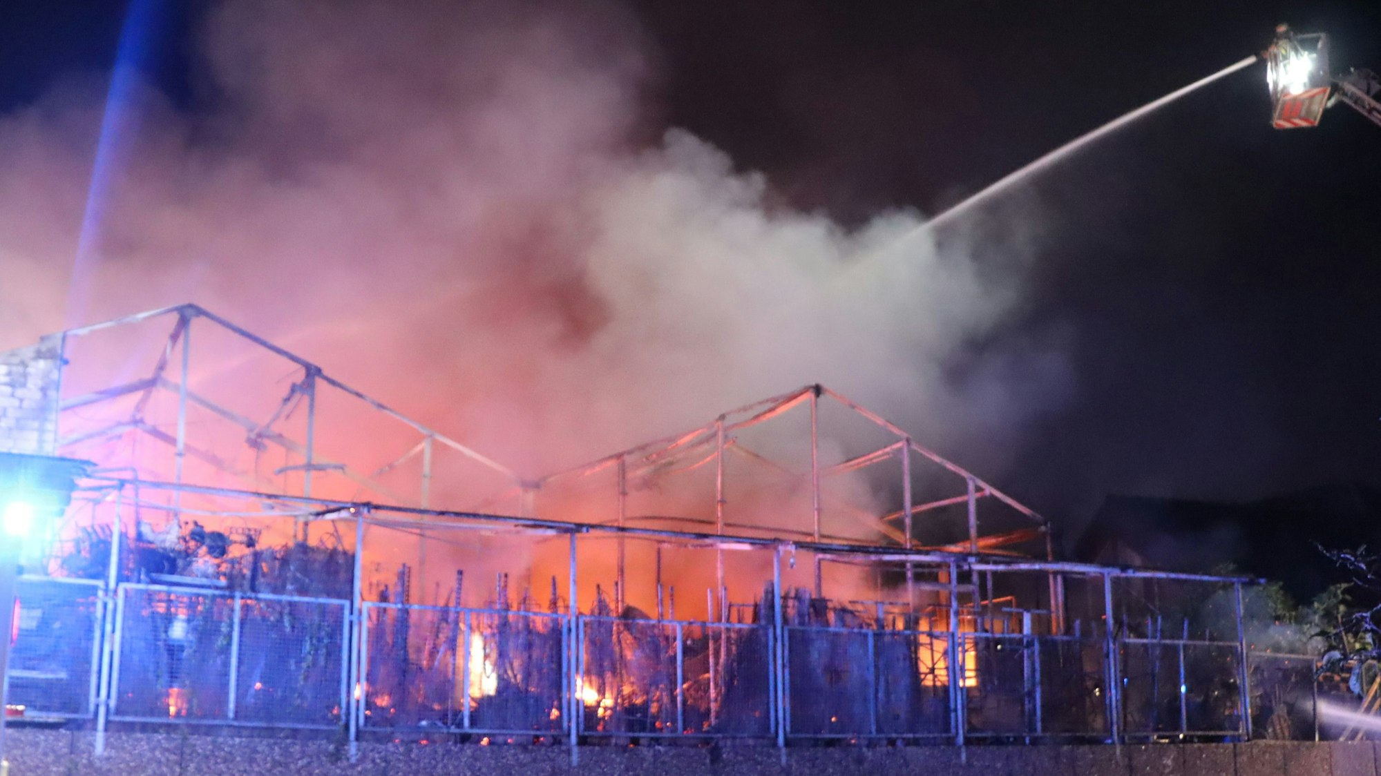 Das Bild zeigt brennende Gewächshäuser.