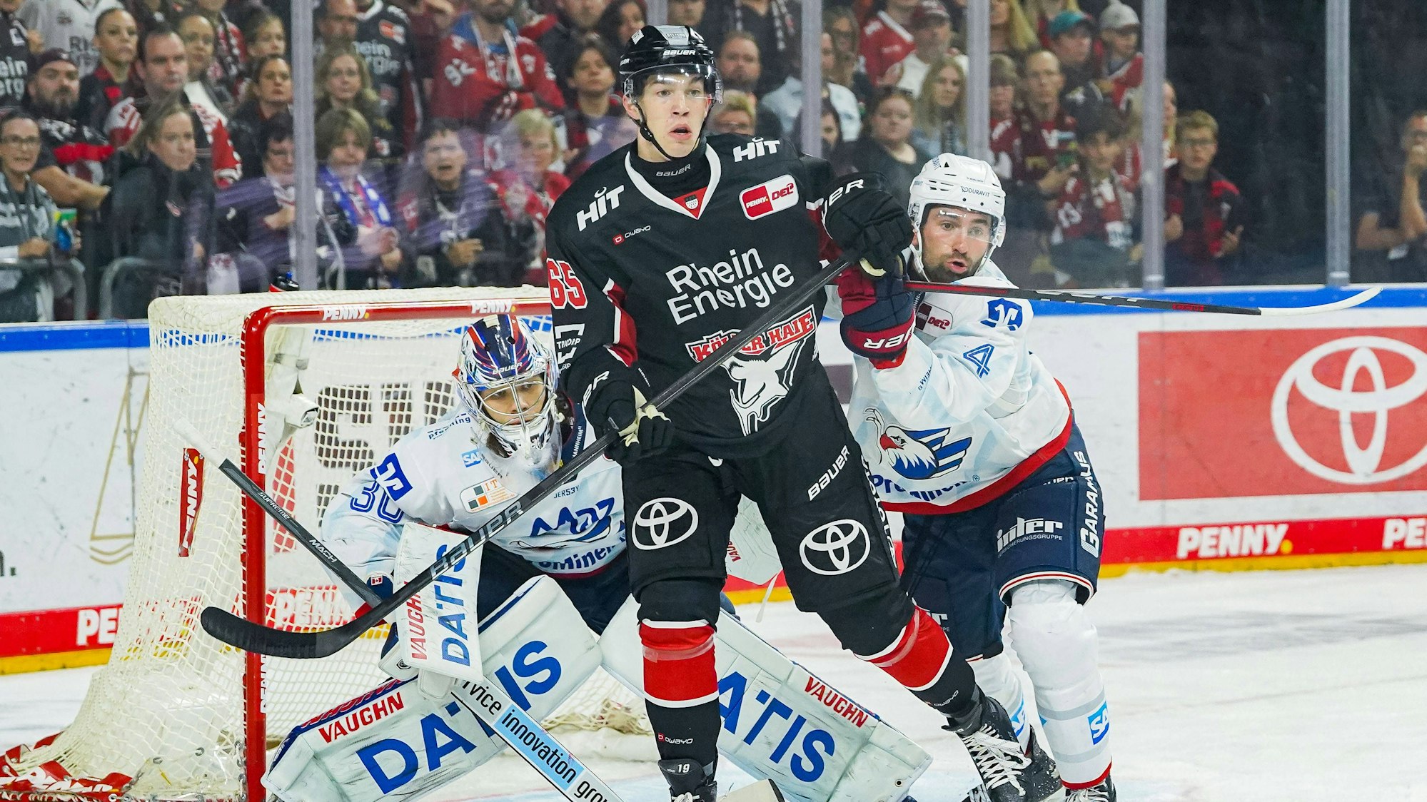 Sorgt in diesen Tagen für Furore: Haie-Jungprofi Marco Münzenberger