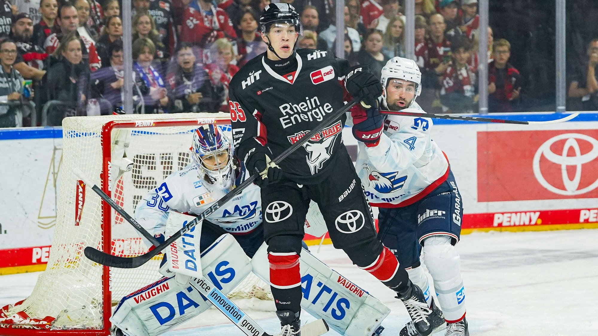Haie-Stürmer Marco Münzenberger bedrängt das Tor der Adler Mannheim mit Goalie Arno Tiefensee Mannheim.