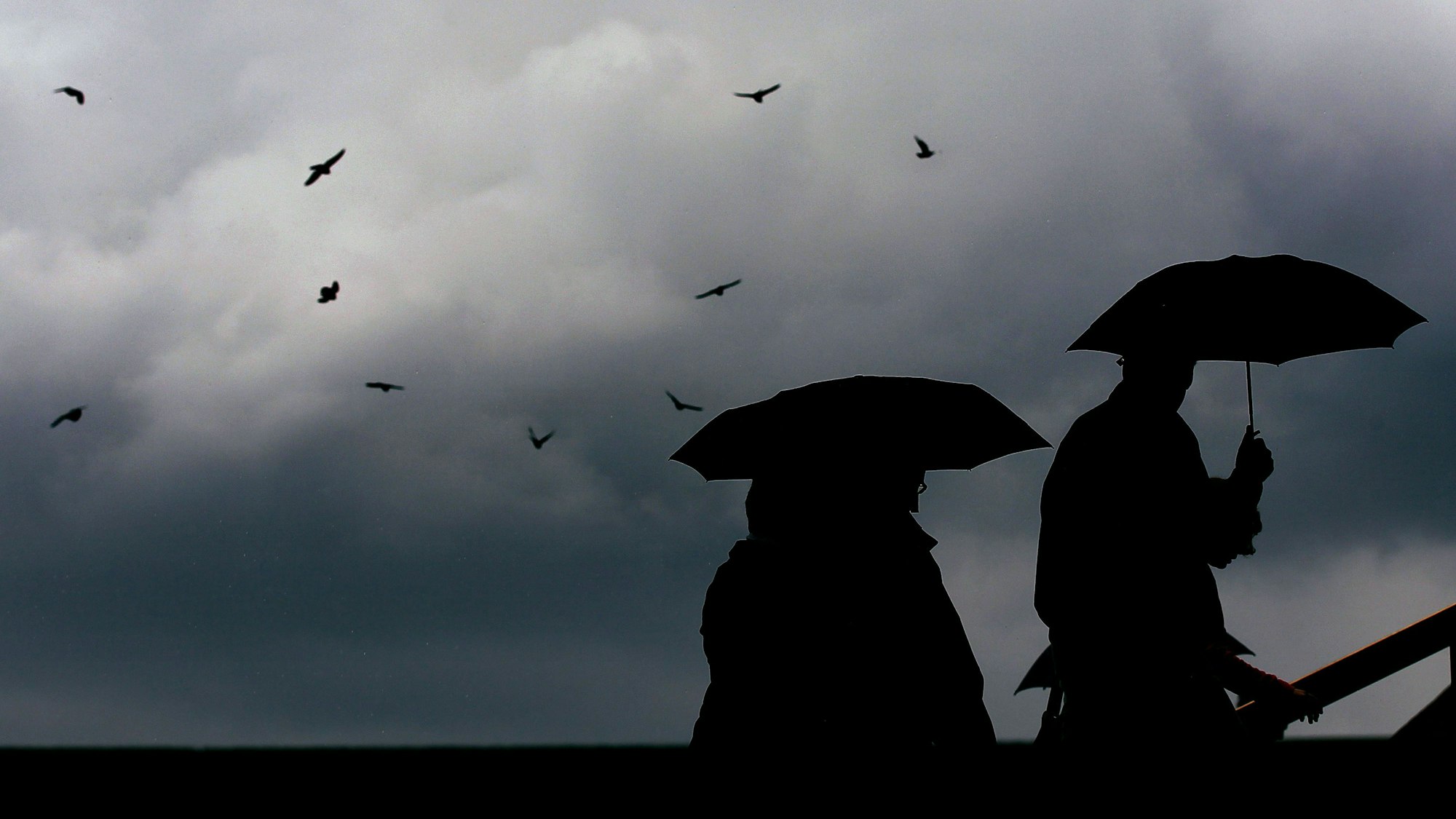 Passanten gehen mit Regenschirmen durch die Kölner Innenstadt. (Archivbild)