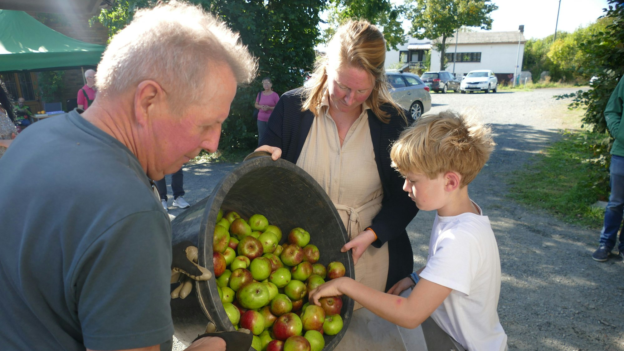 Menschen schütten Äpfel aus einer Bütt in eine Luke.