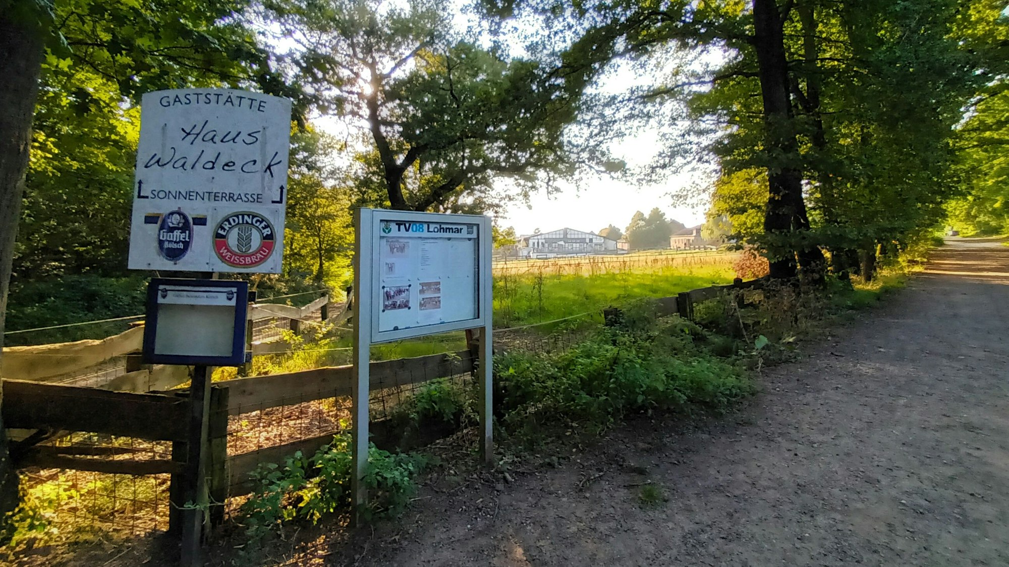 Eine Wiese an einem Waldweg