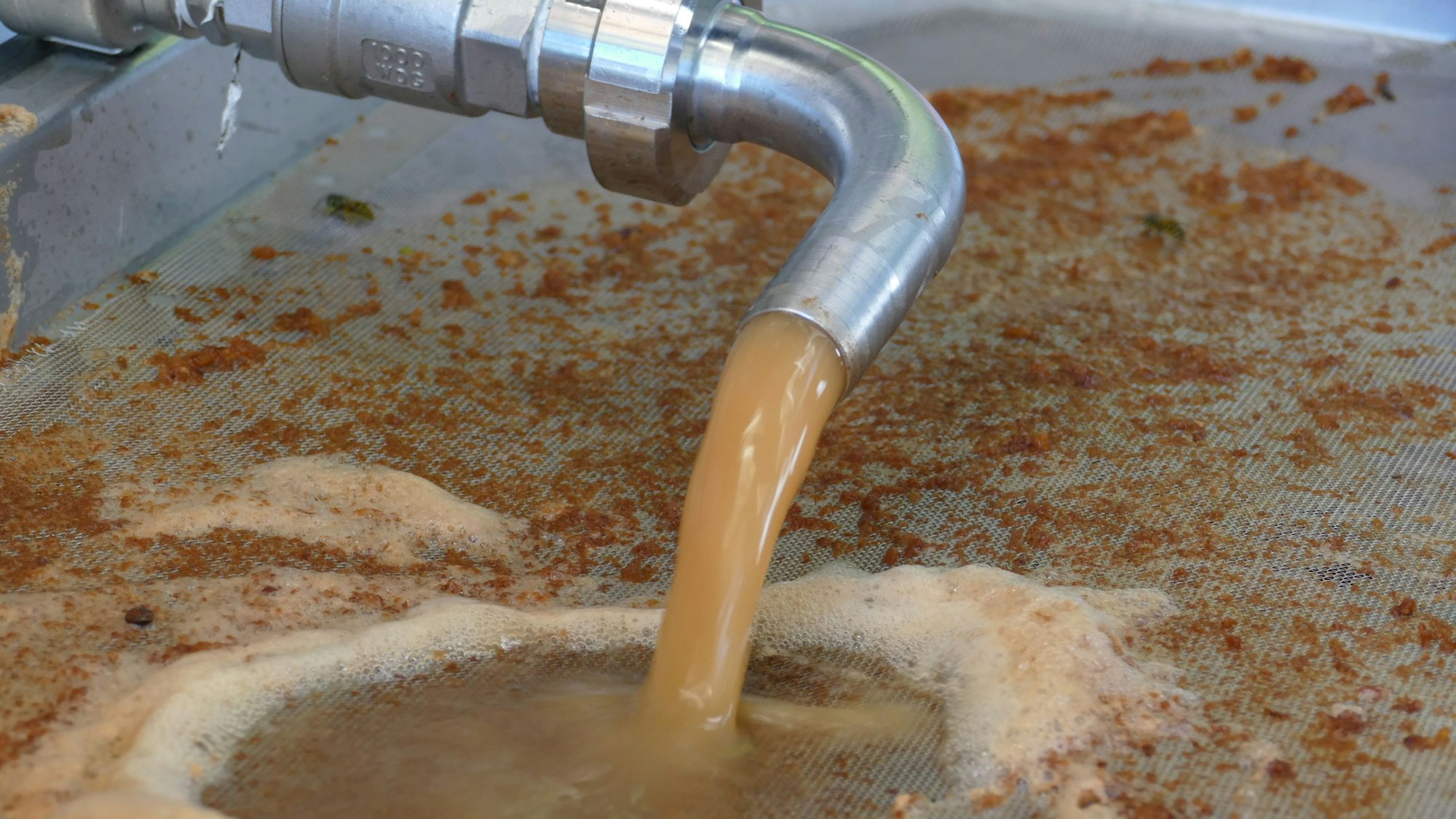 Frischer Apfelsaft kommt aus der Presse.