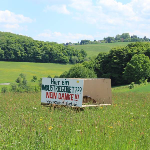 Auf einer großen Wiese mit einem bewaldeten Hügel im Hintergrund steht ein Protestplakat mit der Aufschrift „Hier ein Industriegebiet? Nein danke!“.