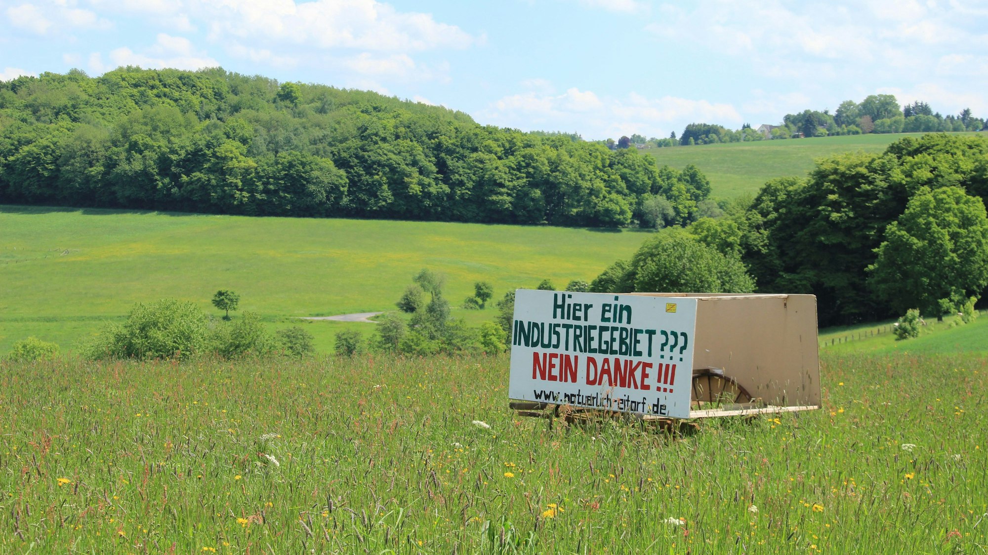 Auf einer großen Wiese mit einem bewaldeten Hügel im Hintergrund steht ein Protestplakat mit der Aufschrift „Hier ein Industriegebiet? Nein danke!“.