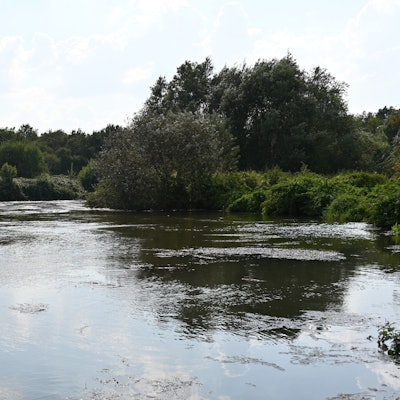 Zu sehen ist ein Fluss im Grünen.