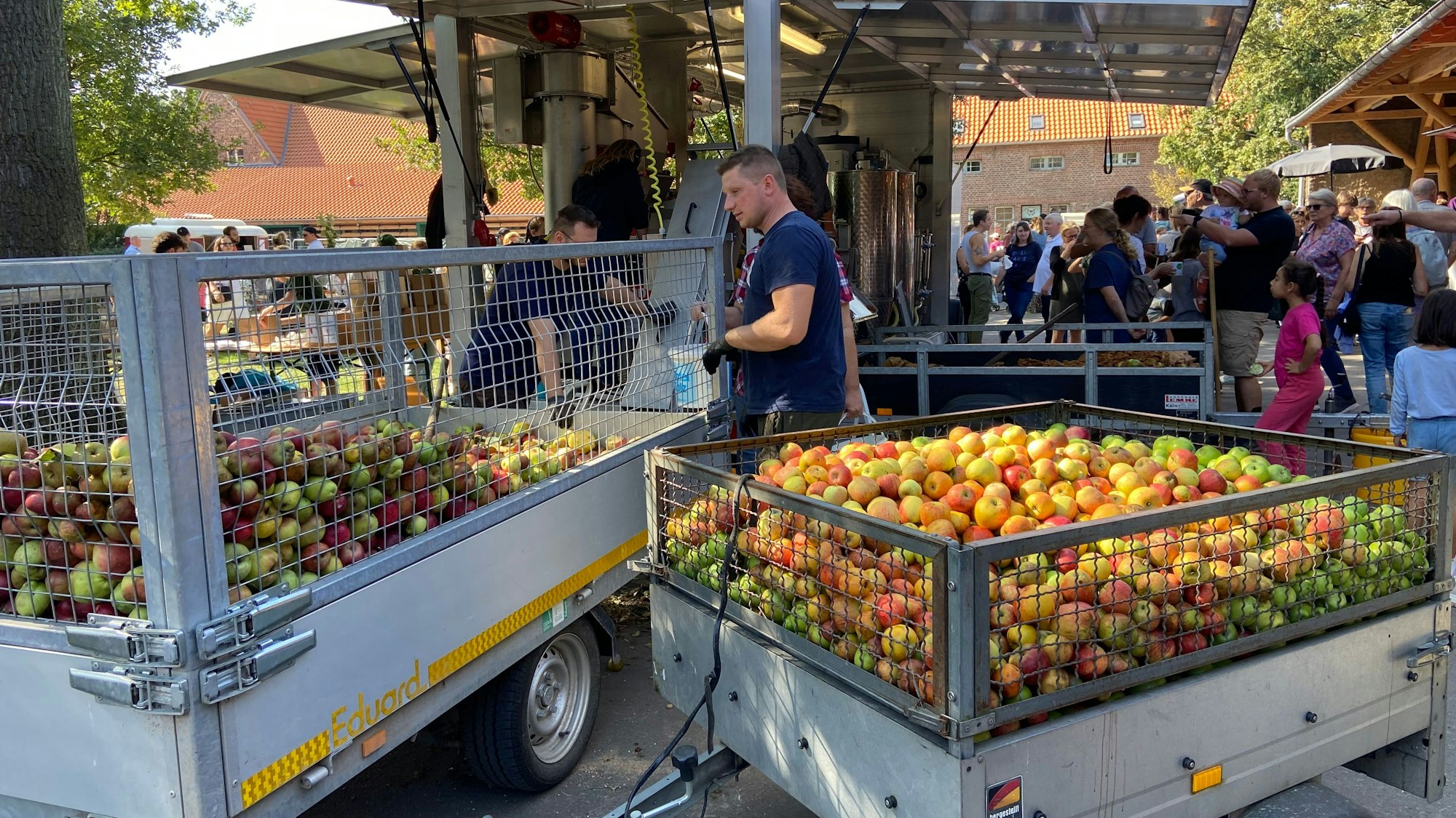 Mehr als 100 Apfelsorten wurden ausgestellt.