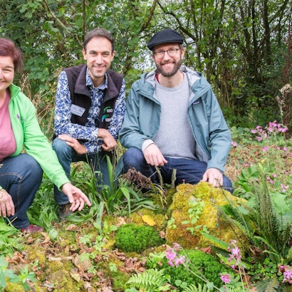 Im Moosbeet erklären Carola Hoppen, Florian Schöllnhammer und Stephan Hahn (vl.l) die einzelnen Moose und Farne.