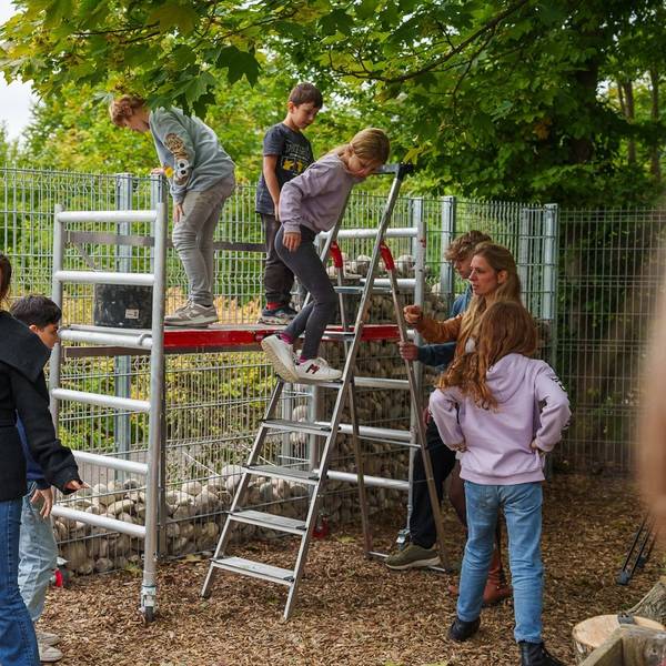 Schüler der Freien Naturschule Köln befüllen den ersten Abschnitt von Kölns größtem Insektenhotels mit Steinen.