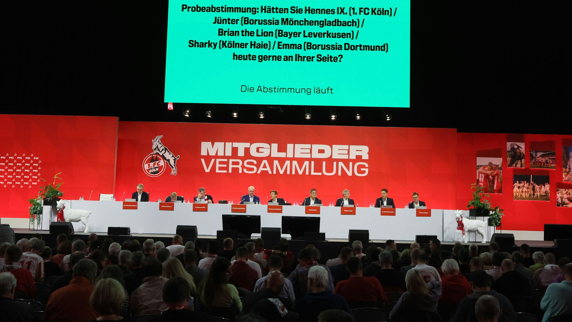 Das Podium auf der Mitgliederversammlung des 1. FC Köln mit dem Vorstand um Präsident Werner Wolf, den drei Geschäftsführern und den Vorsitzenden des Mitgliederrates.