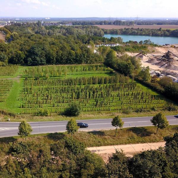 Auf diesem Grundstück an der Spicher Straße zwischen Niederkassel-Ort und Uckendorf soll die Zentrale Unterbringungseinrichtung (ZUE) des Landes für bis zu 350 Geflüchtete entstehen.