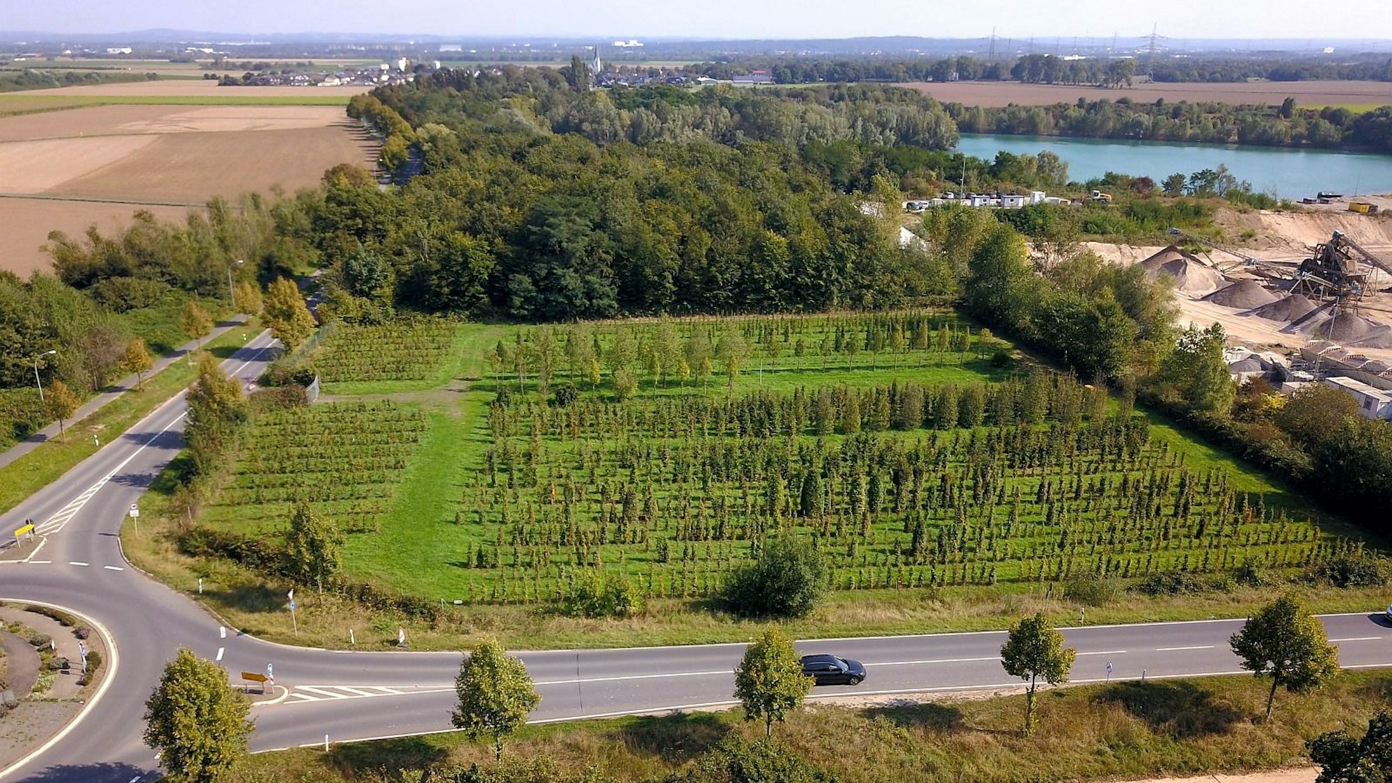 Auf diesem Grundstück an der Spicher Straße zwischen Niederkassel-Ort und Uckendorf soll die Zentrale Unterbringungseinrichtung (ZUE) des Landes für bis zu 350 Geflüchtete entstehen.