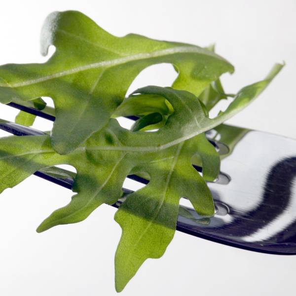 Rucola-Salat liegt auf einer Gabel.