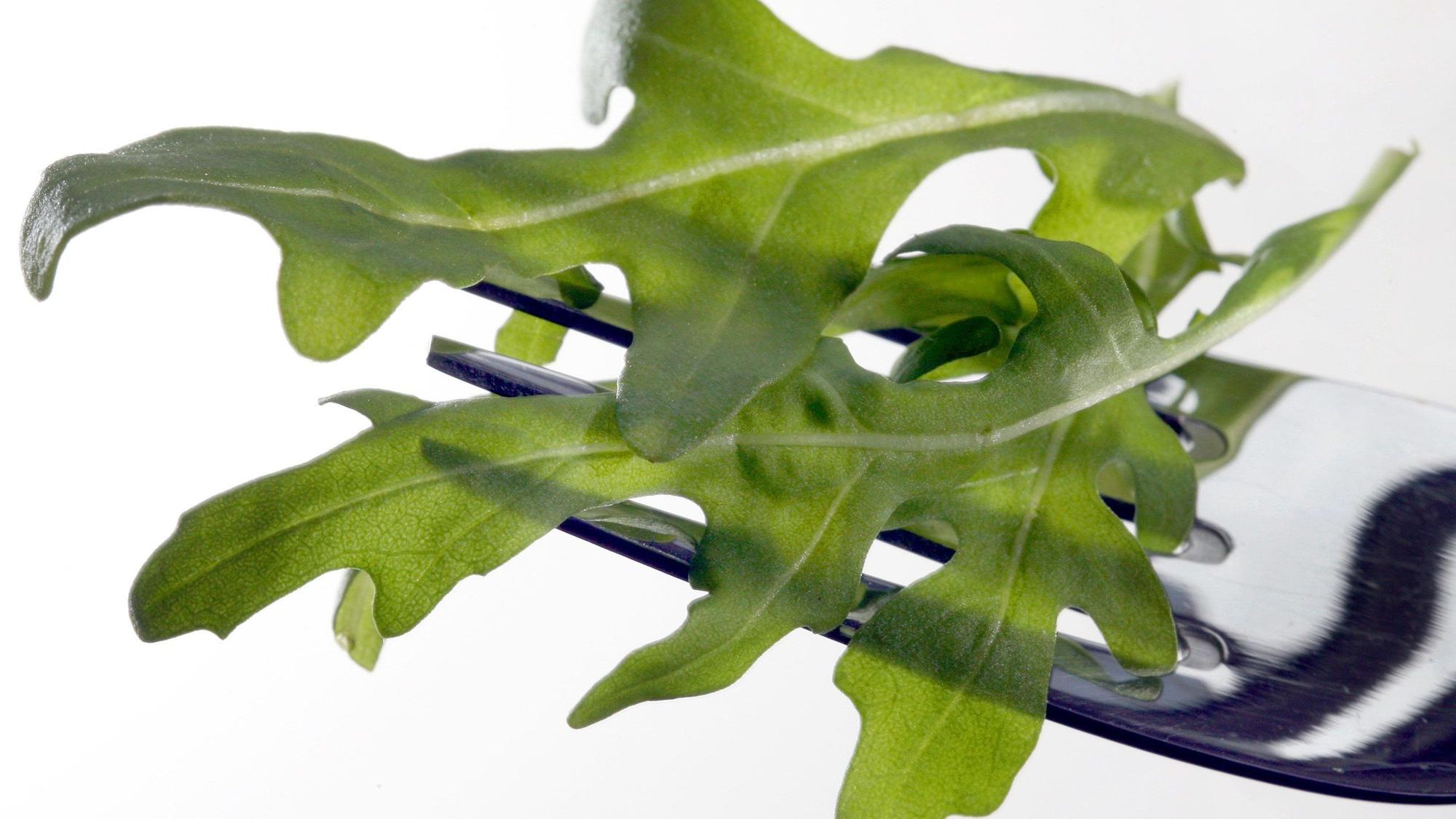 Rucola-Salat liegt auf einer Gabel.