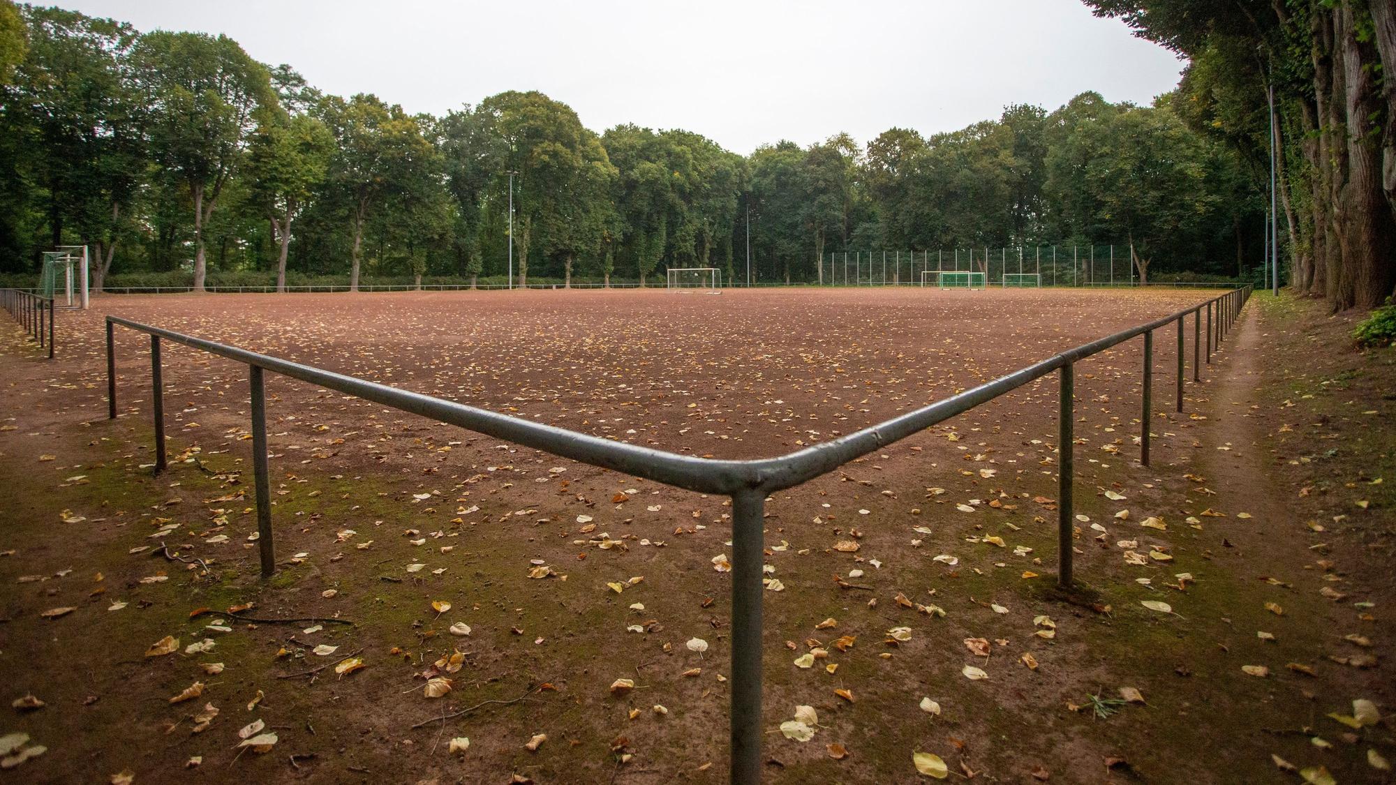 Herbstlaub liegt auf einem Ascheplatz.