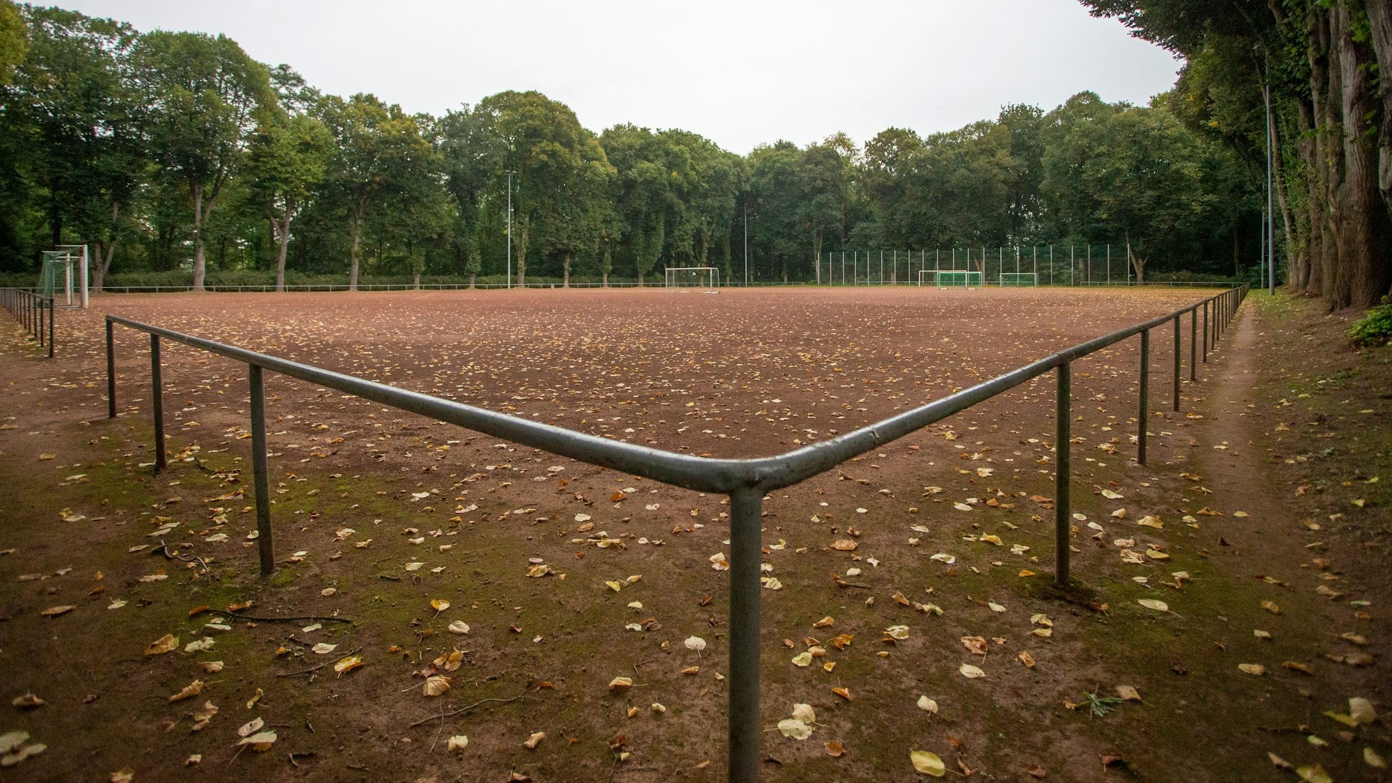 Herbstlaub liegt auf einem Ascheplatz.