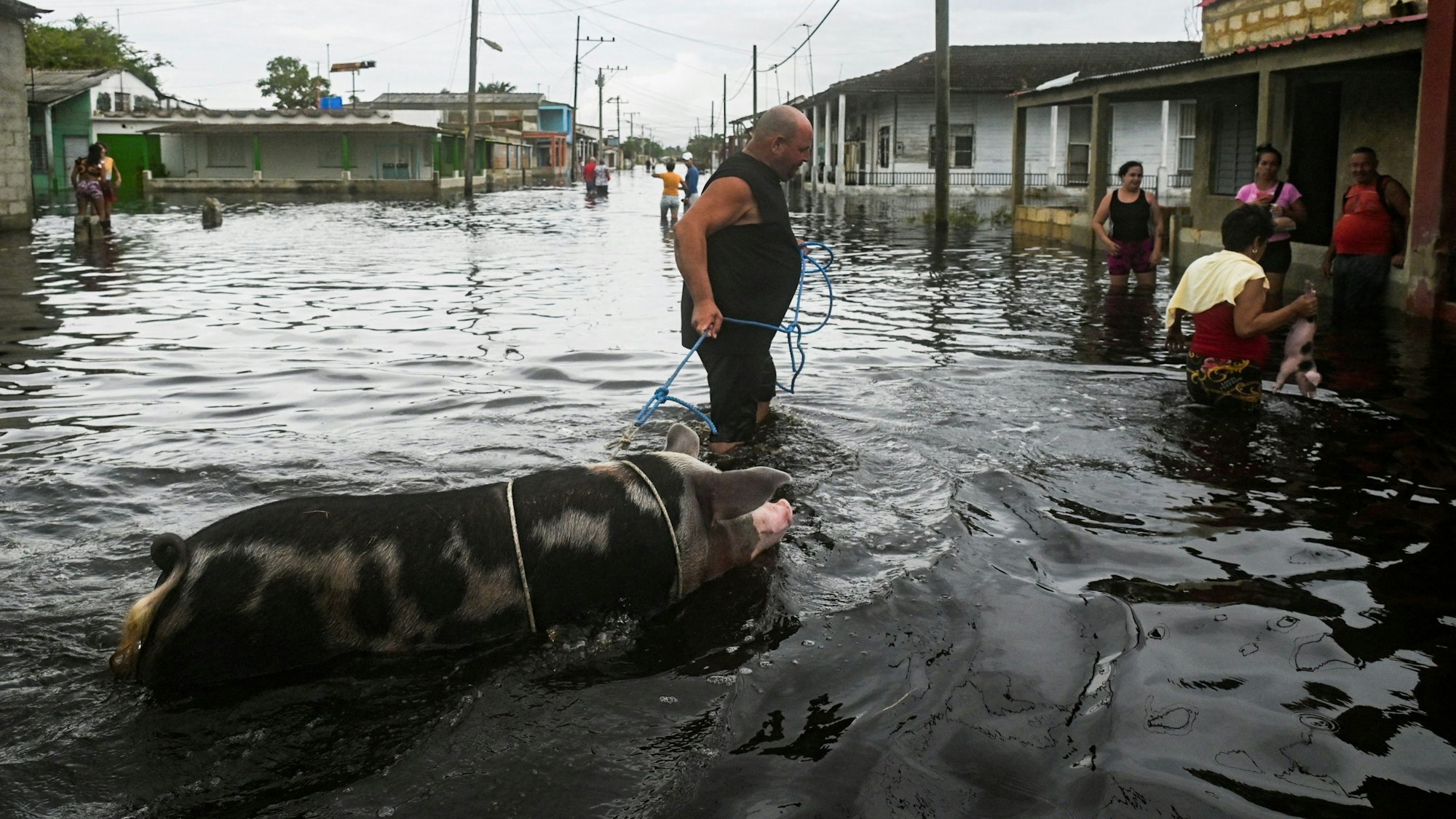 Ein Mann läuft mit einem Schwein über eine überschwemmte Straße.