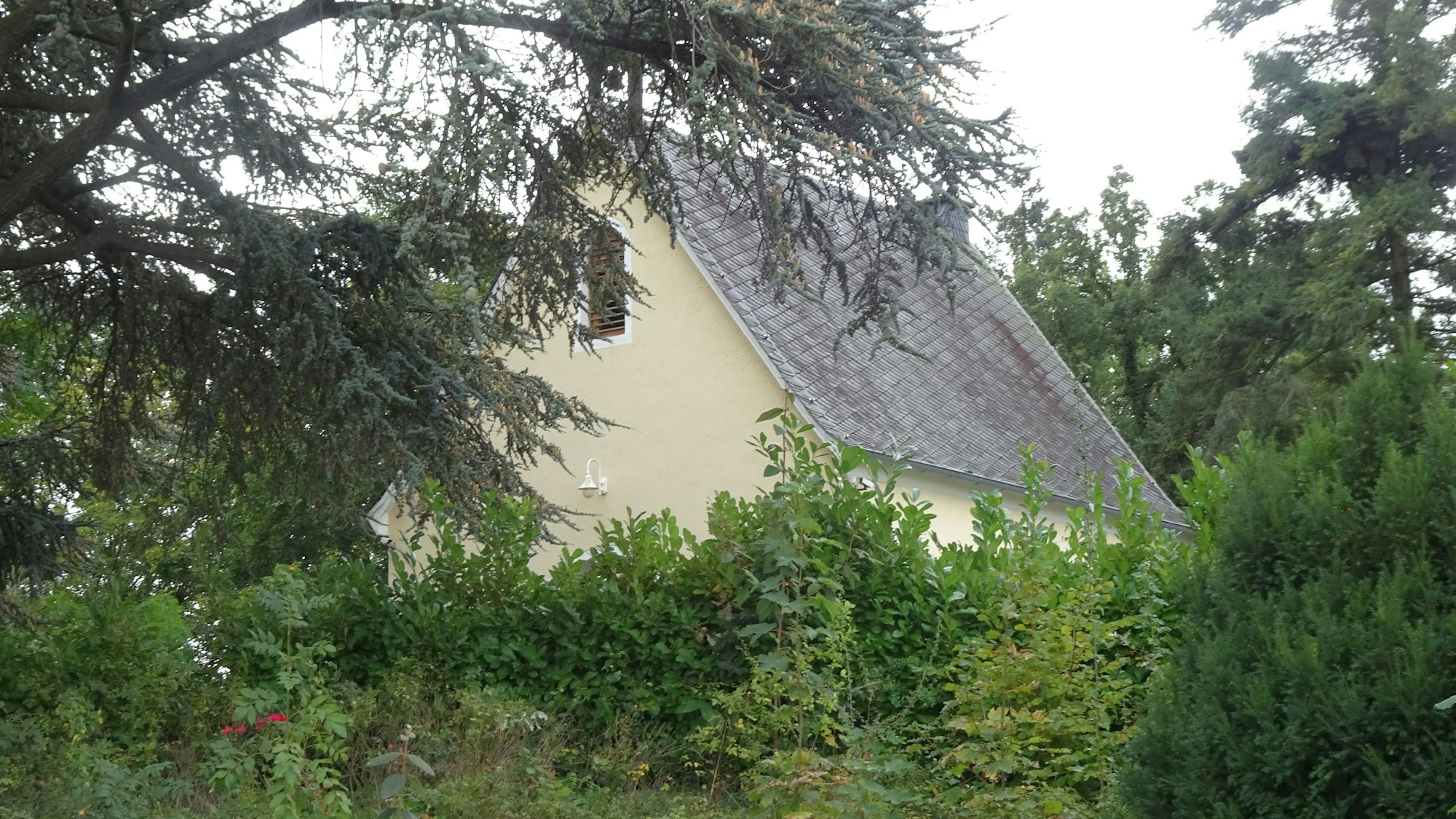 Heute liegt die Marienkapelle versteckt hinter Büschen und Bäumen.