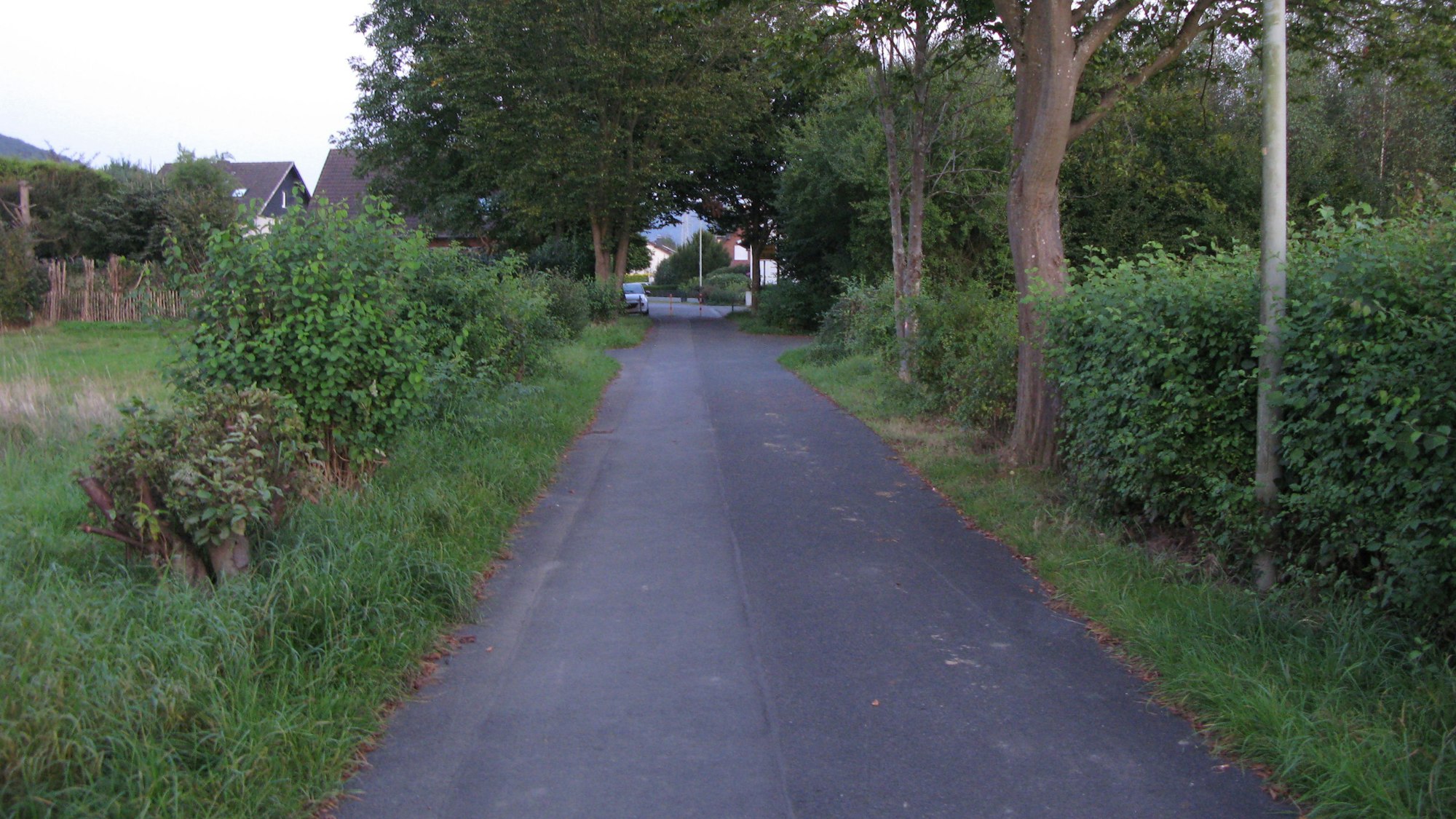 Ein asphaltierter Weg zwischen einer Wiese und einer Hecke.