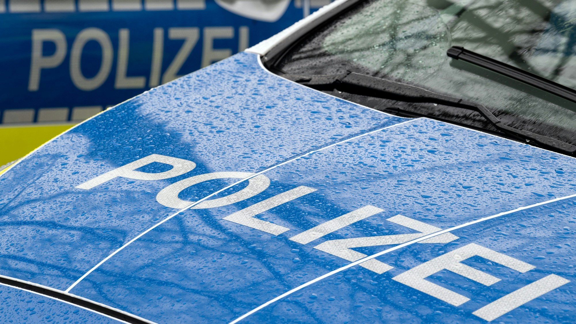 Auf dem Foto sind zwei Polizeiwagen zu sehen.