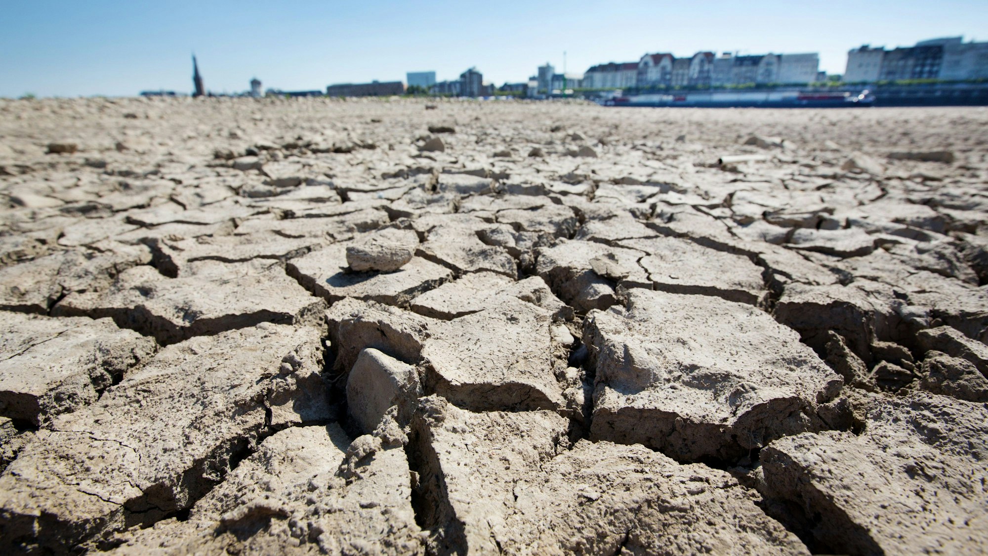 Am Ufer des Rheins in Düsseldorf sind durch die anhaltende Trockenheit Risse entstanden.