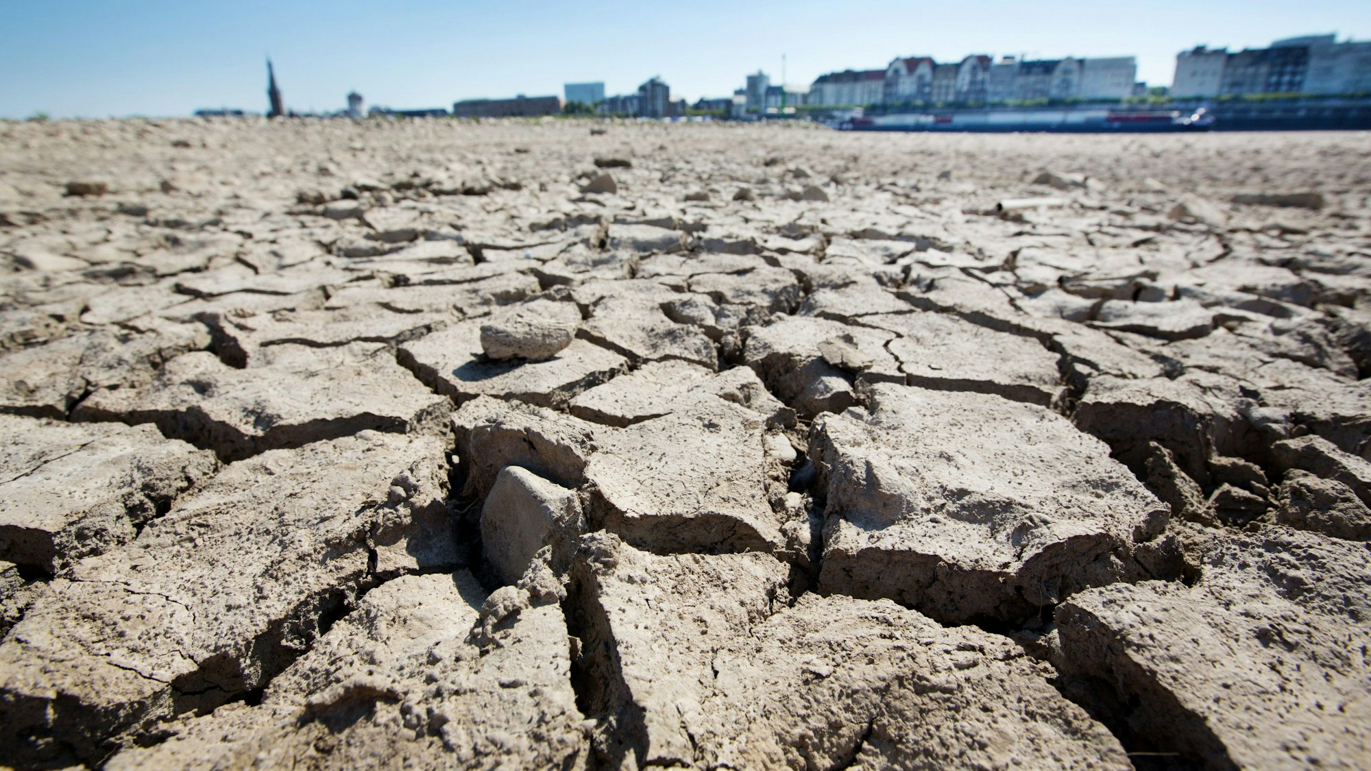 Am Ufer des Rheins in Düsseldorf sind durch die anhaltende Trockenheit Risse entstanden.