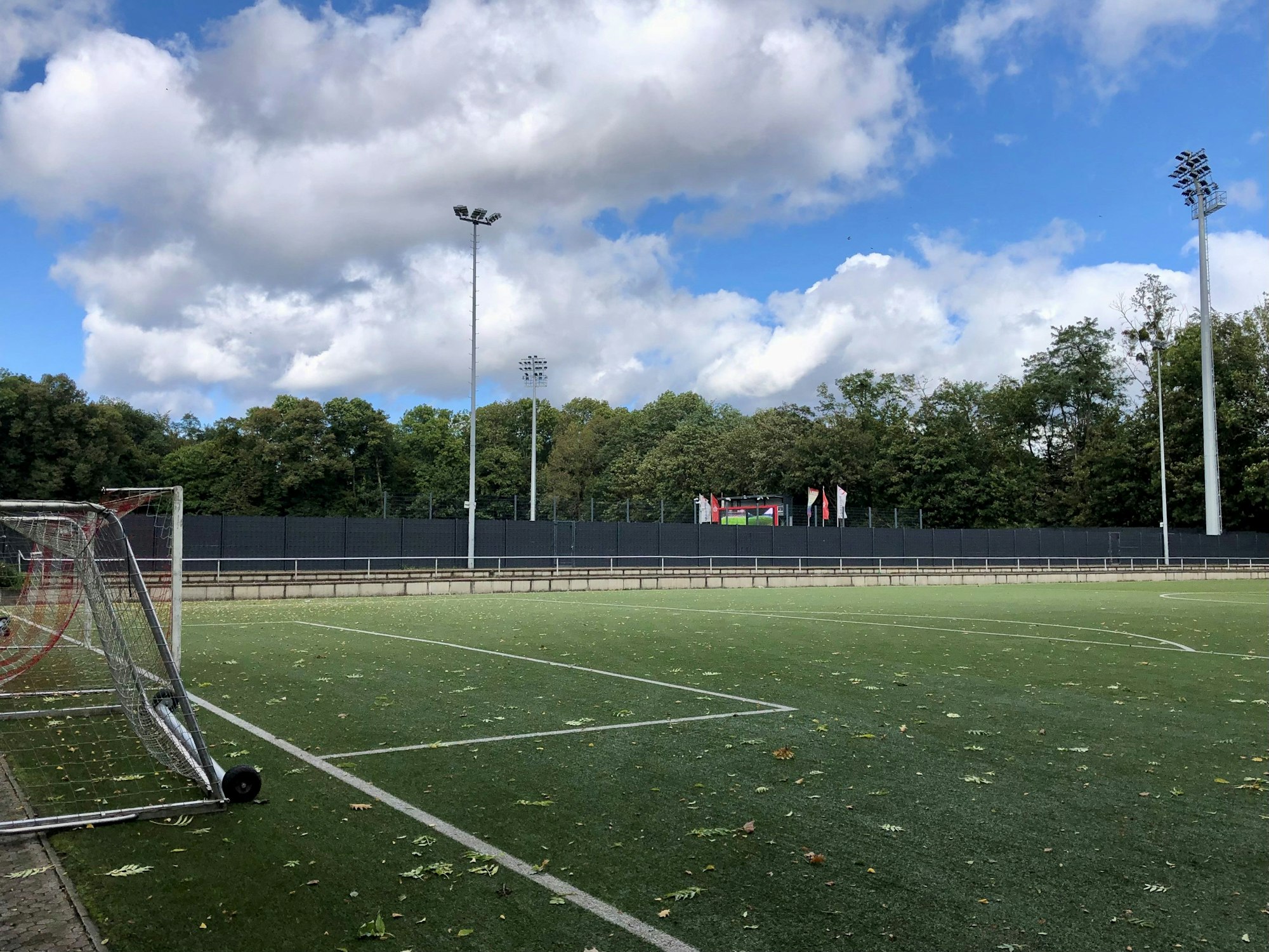 Ein Fußballplatz des 1. FC Köln mit Kunstrasenbelag.